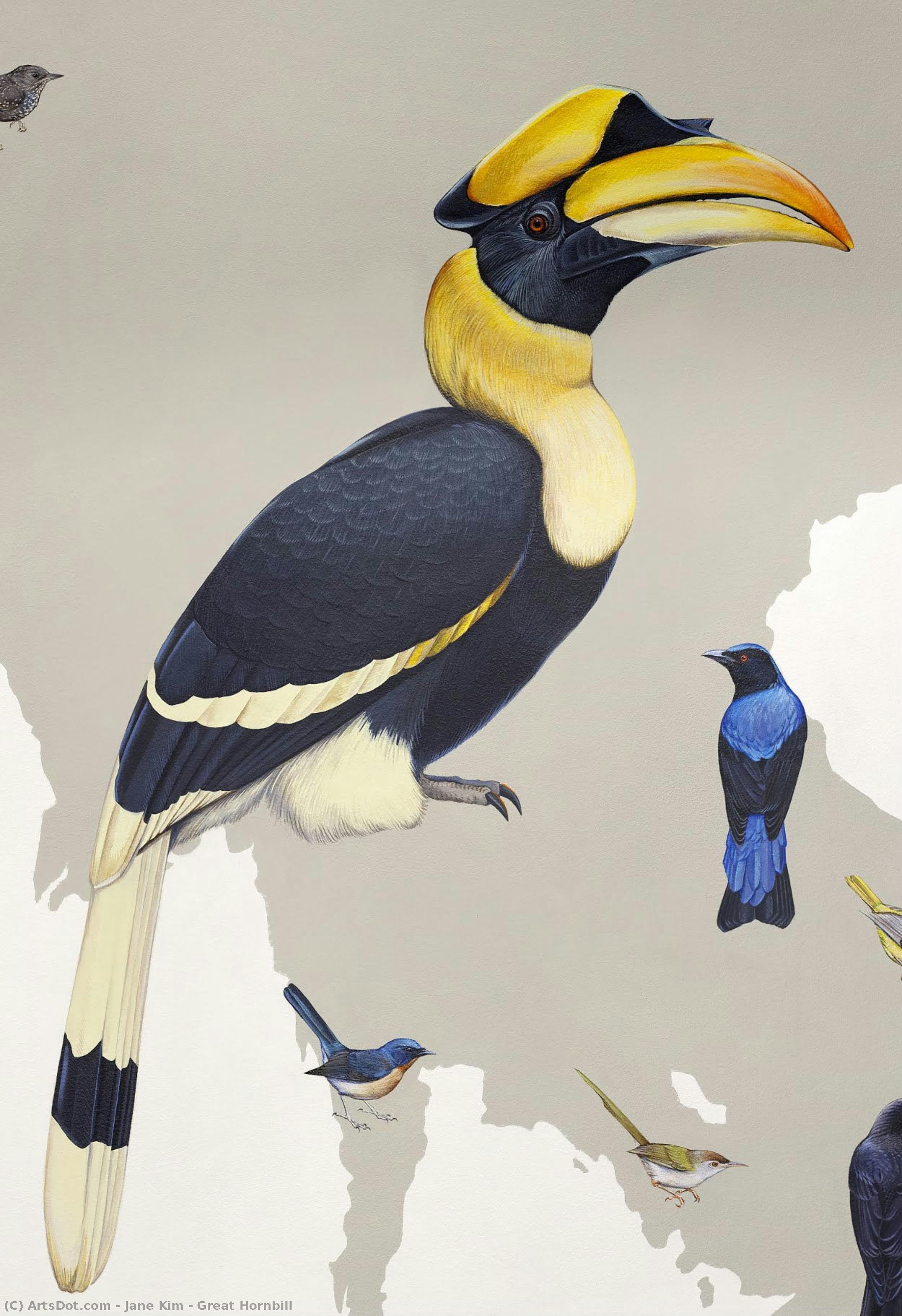 Stor Hornbill — Jane Kim