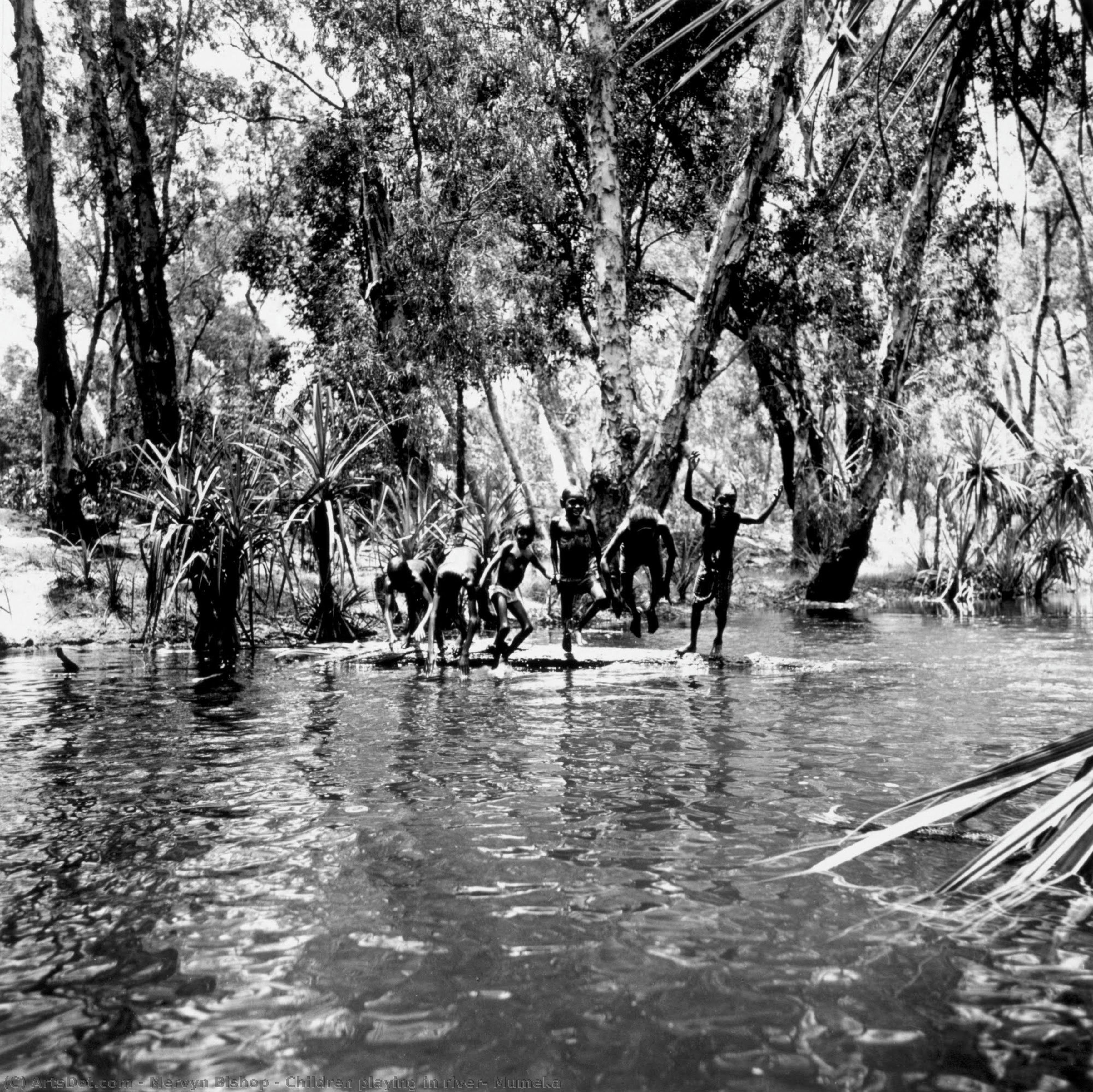 Children Playing In River, Mumeka — Mervyn Bishop