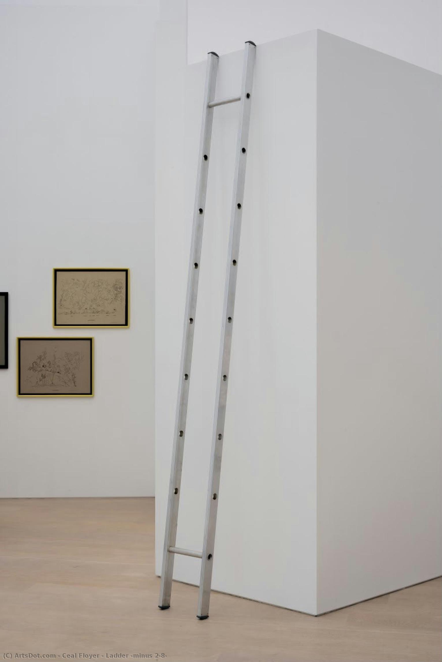Ladder (minus 2-8) — Ceal Floyer