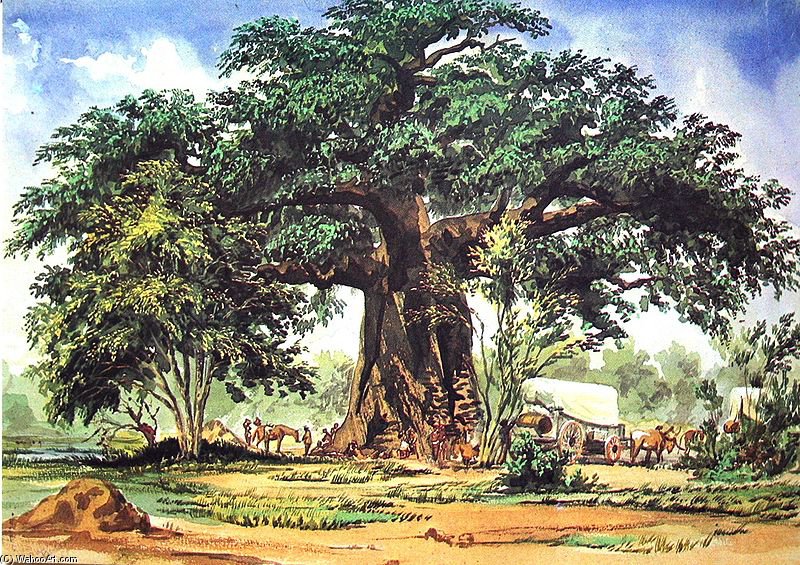 Baobab — Θωμάς Μπάινες