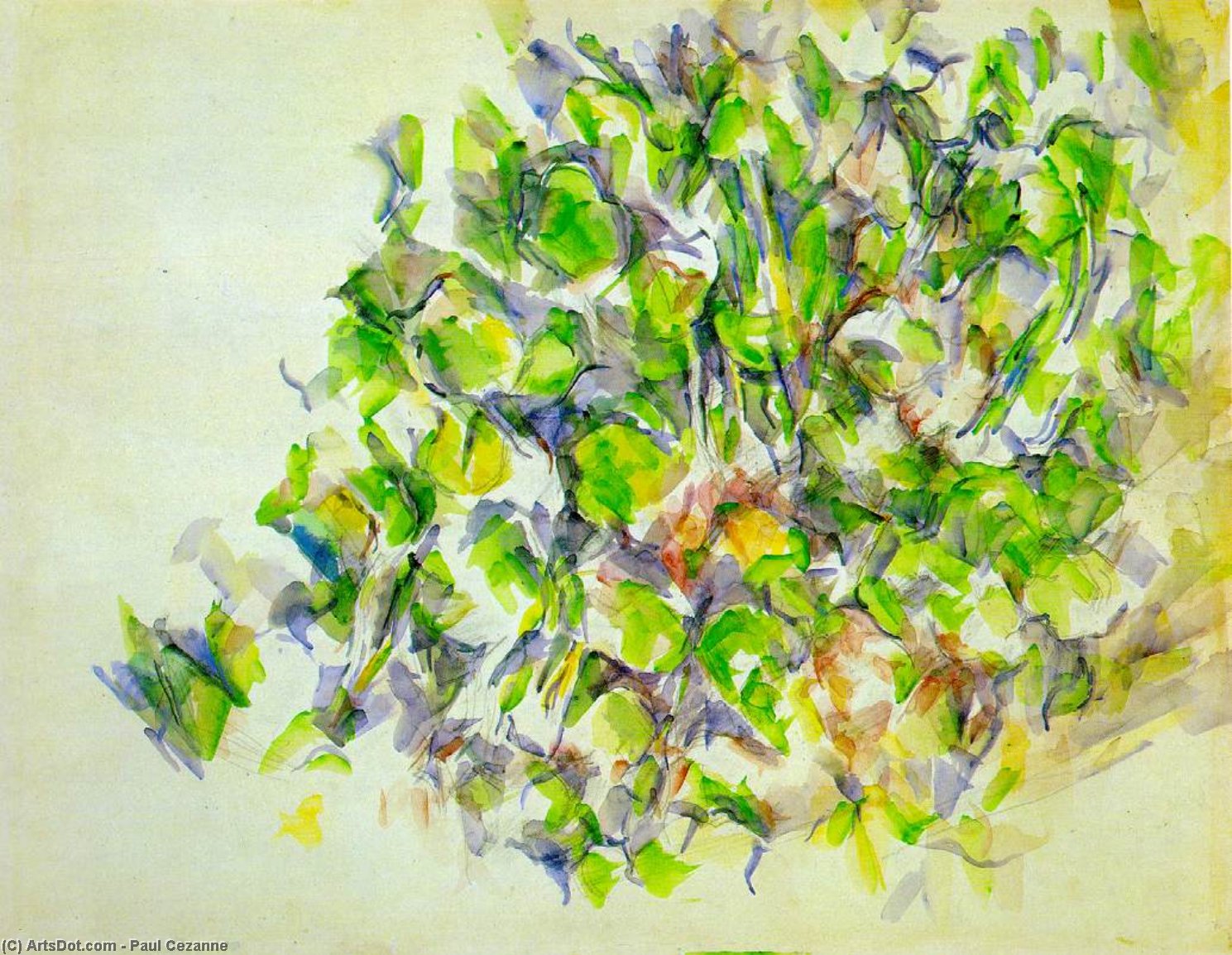 Foglie — Paul Cézanne