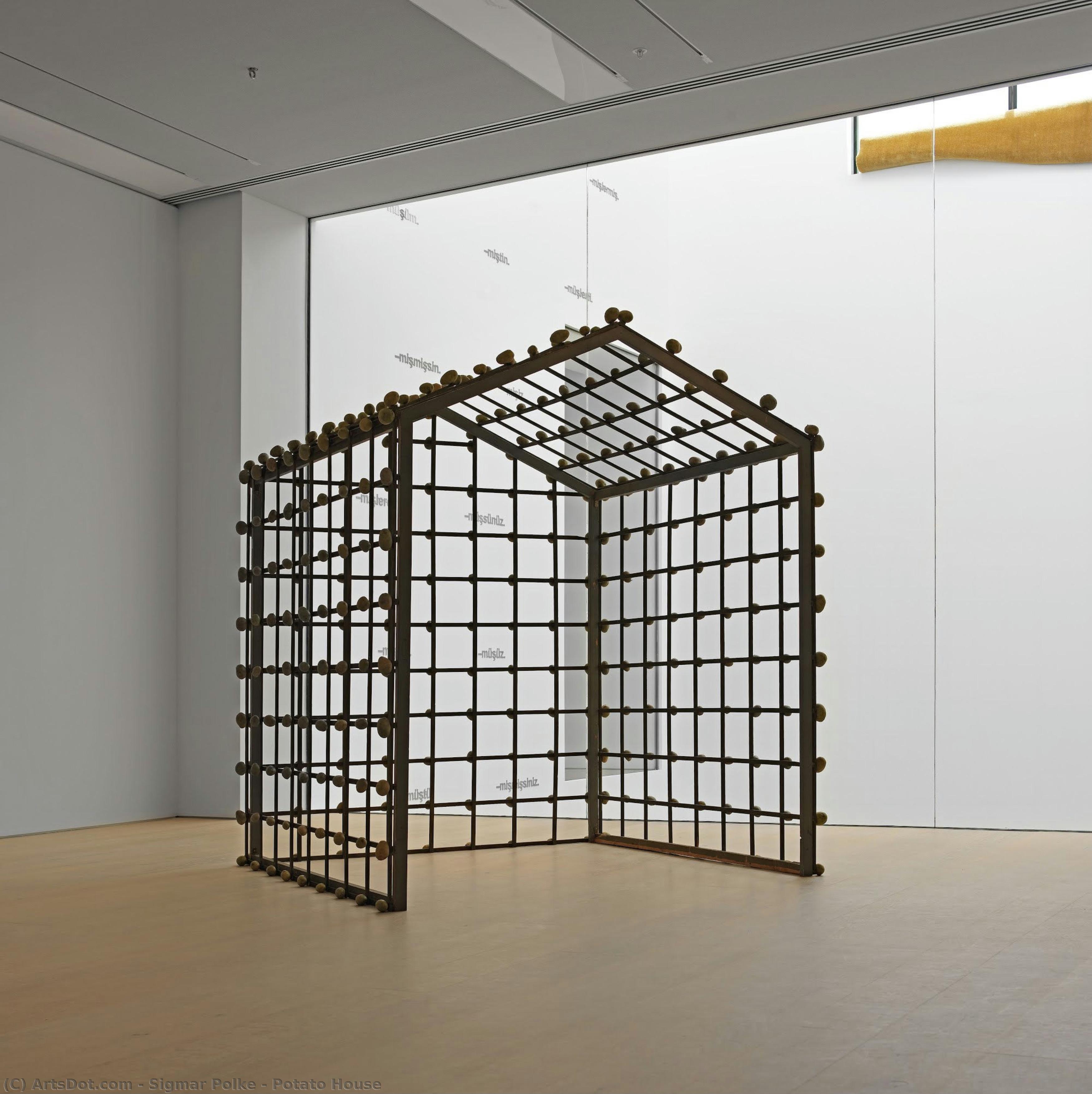 Potato House — Sigmar Polke