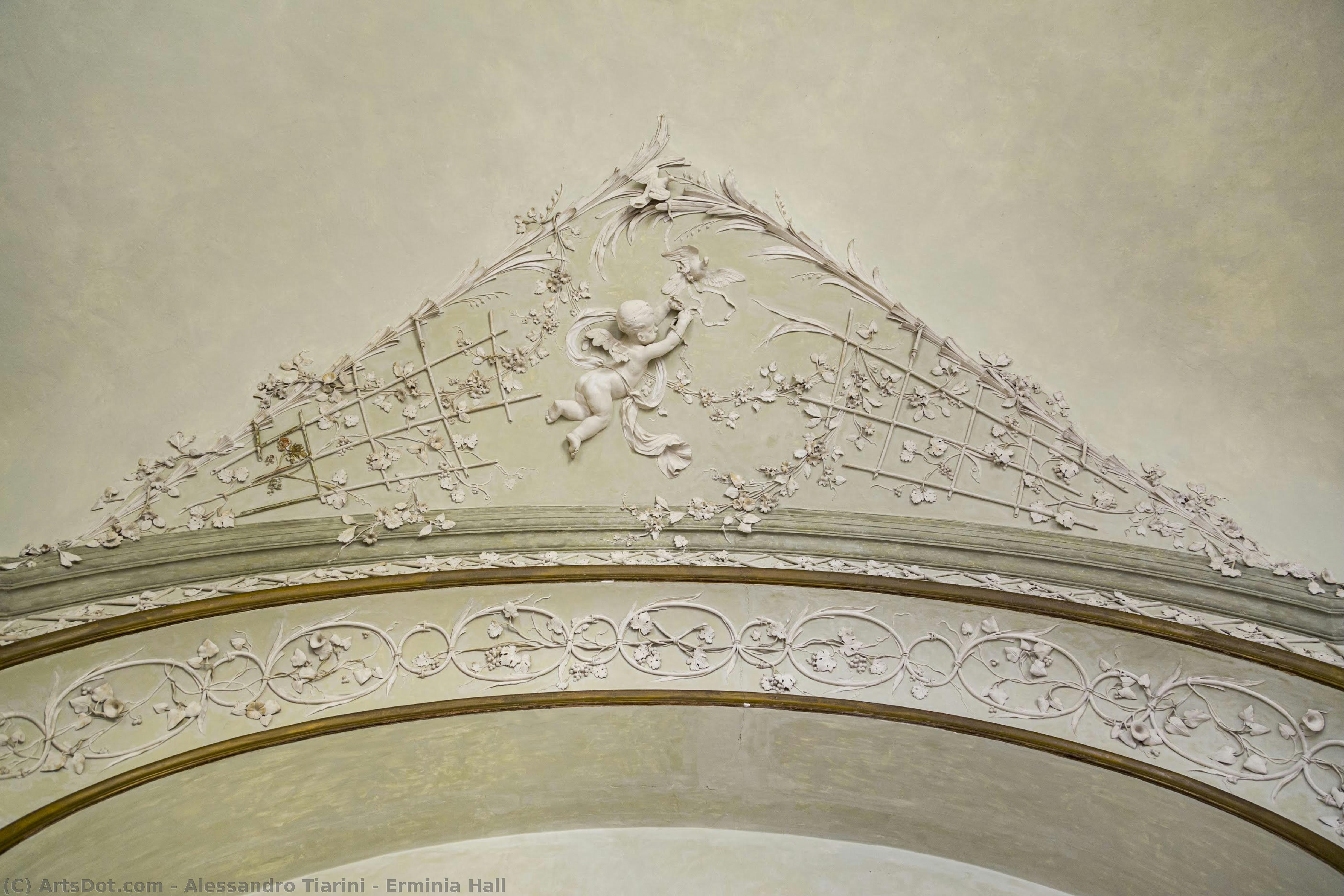 Erminia Hall — Alessandro Tiarini