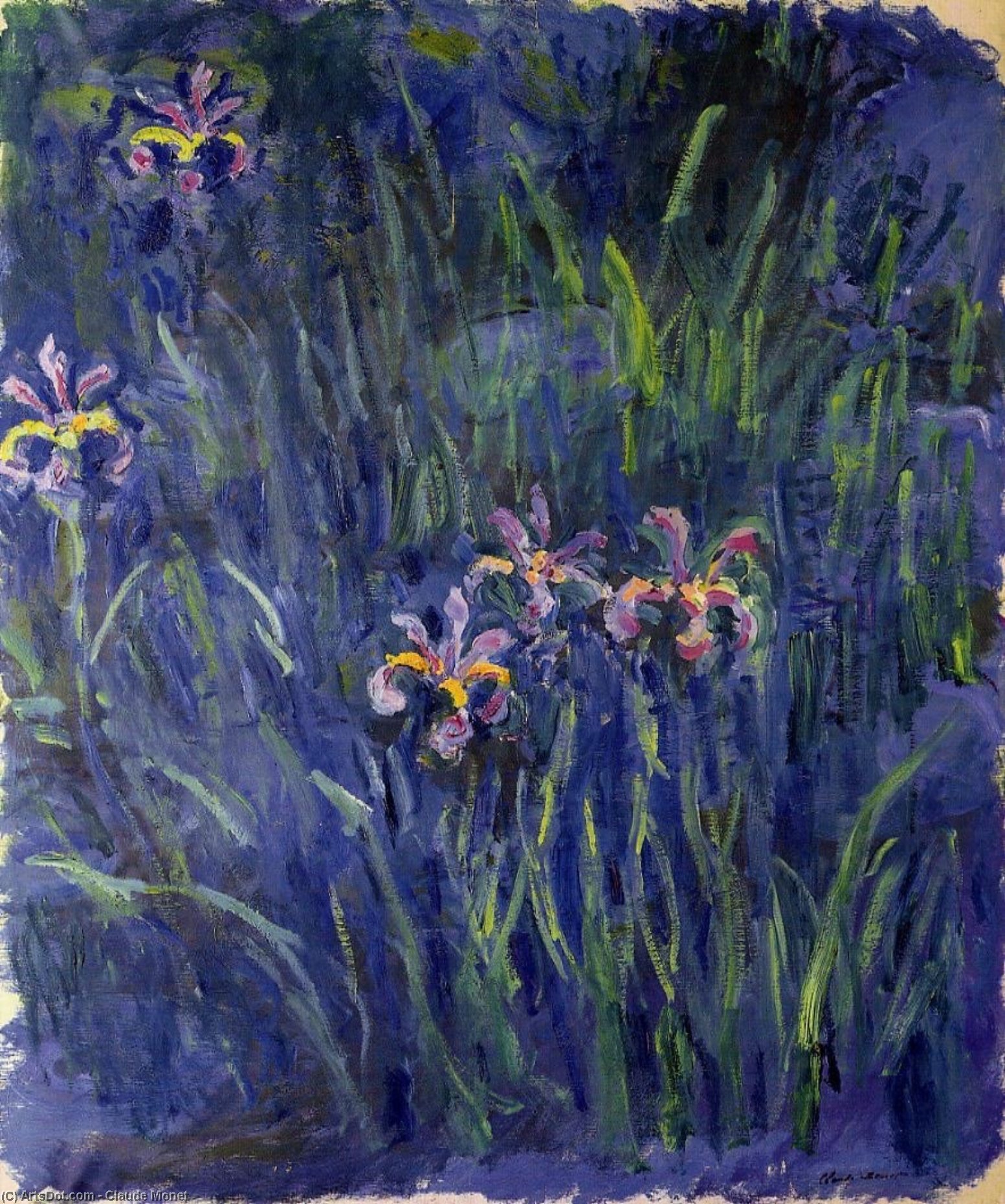 Irysy — Claude Monet
