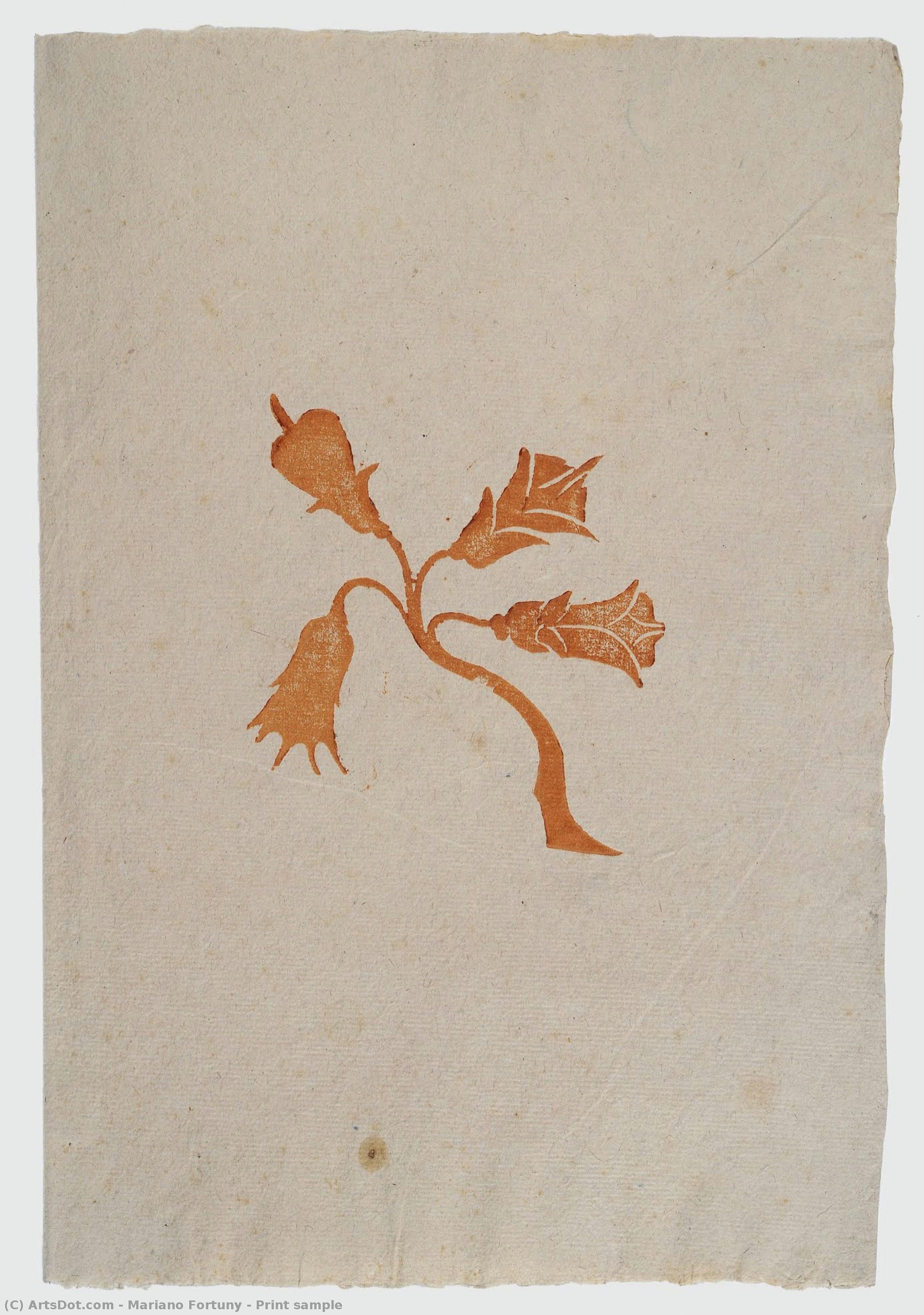 Print Sample — Mariano Fortuny