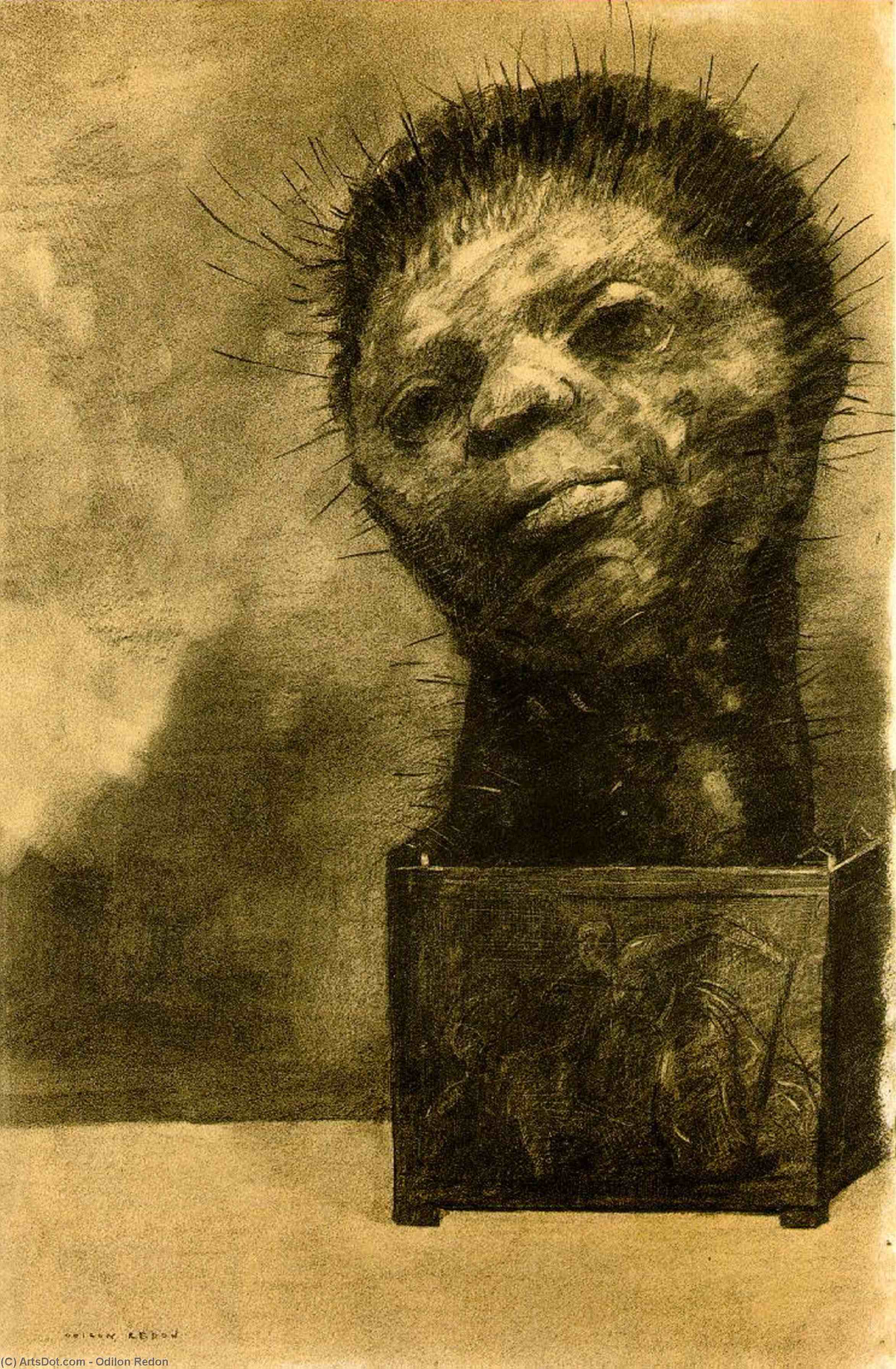 L'uomo Cactus — Odilon Redon