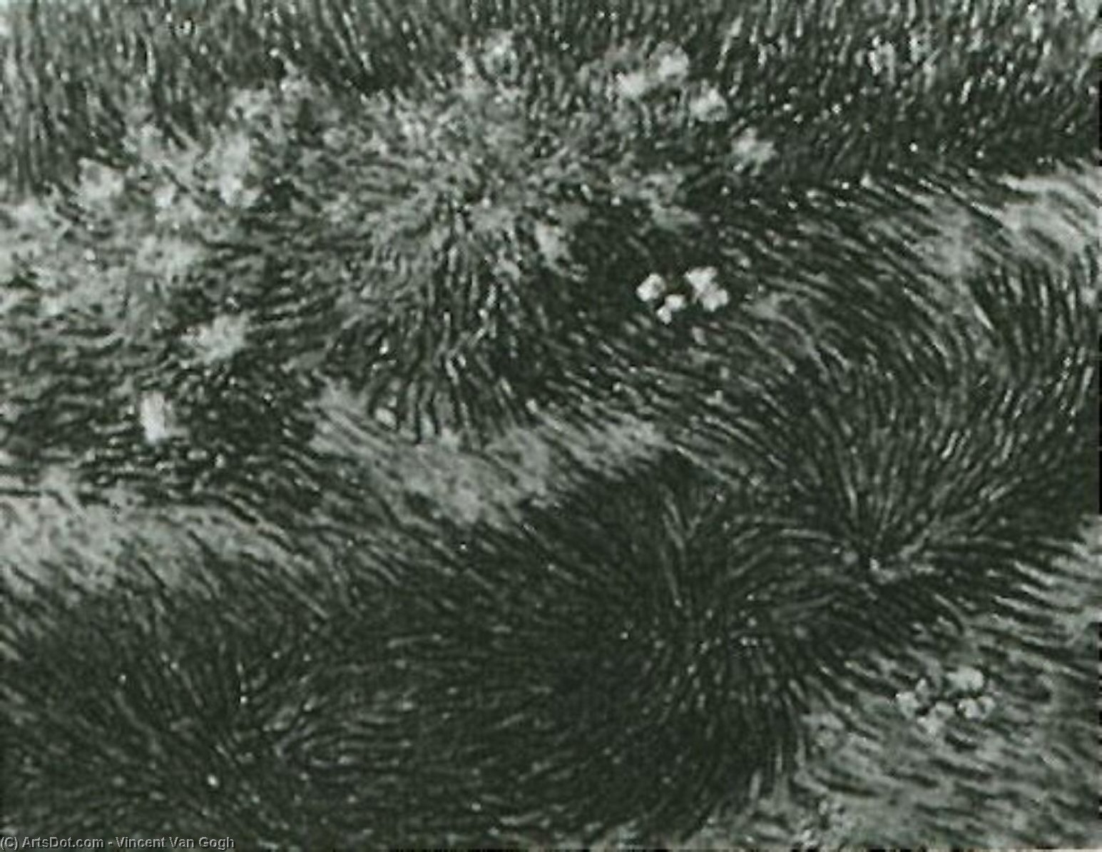 "grass And Butterflies" -> "erba E Farfalle" — Vincent Willem Van Gogh