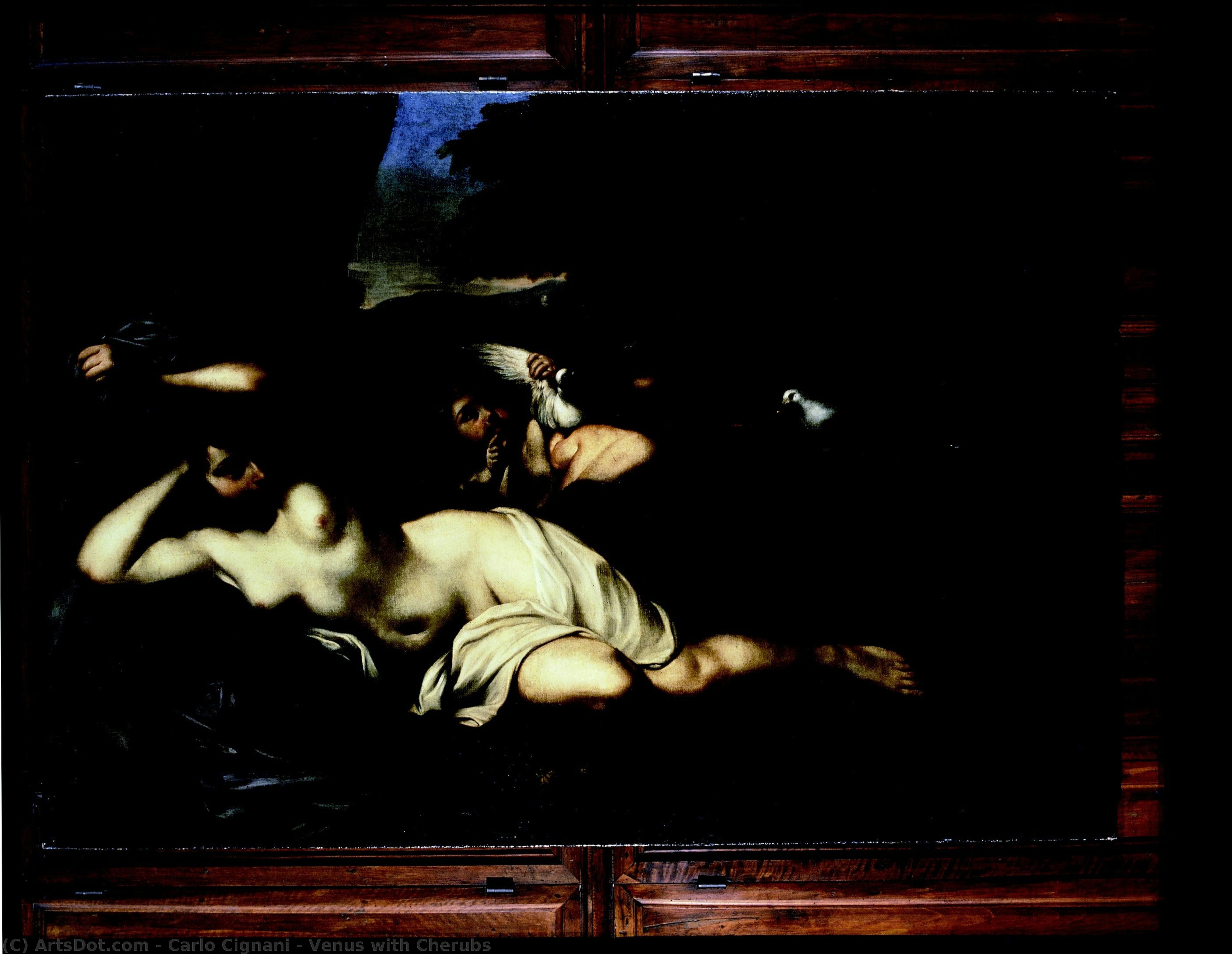 Venus With Cherubs — 카를로 치냐니