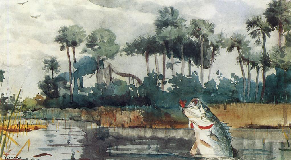 Schwarzer Barsch, Florida — Winslow Homer