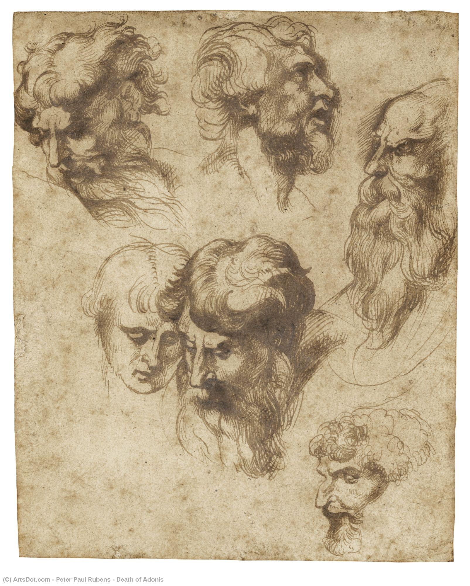 Death Of Adonis — Peter Paul Rubens