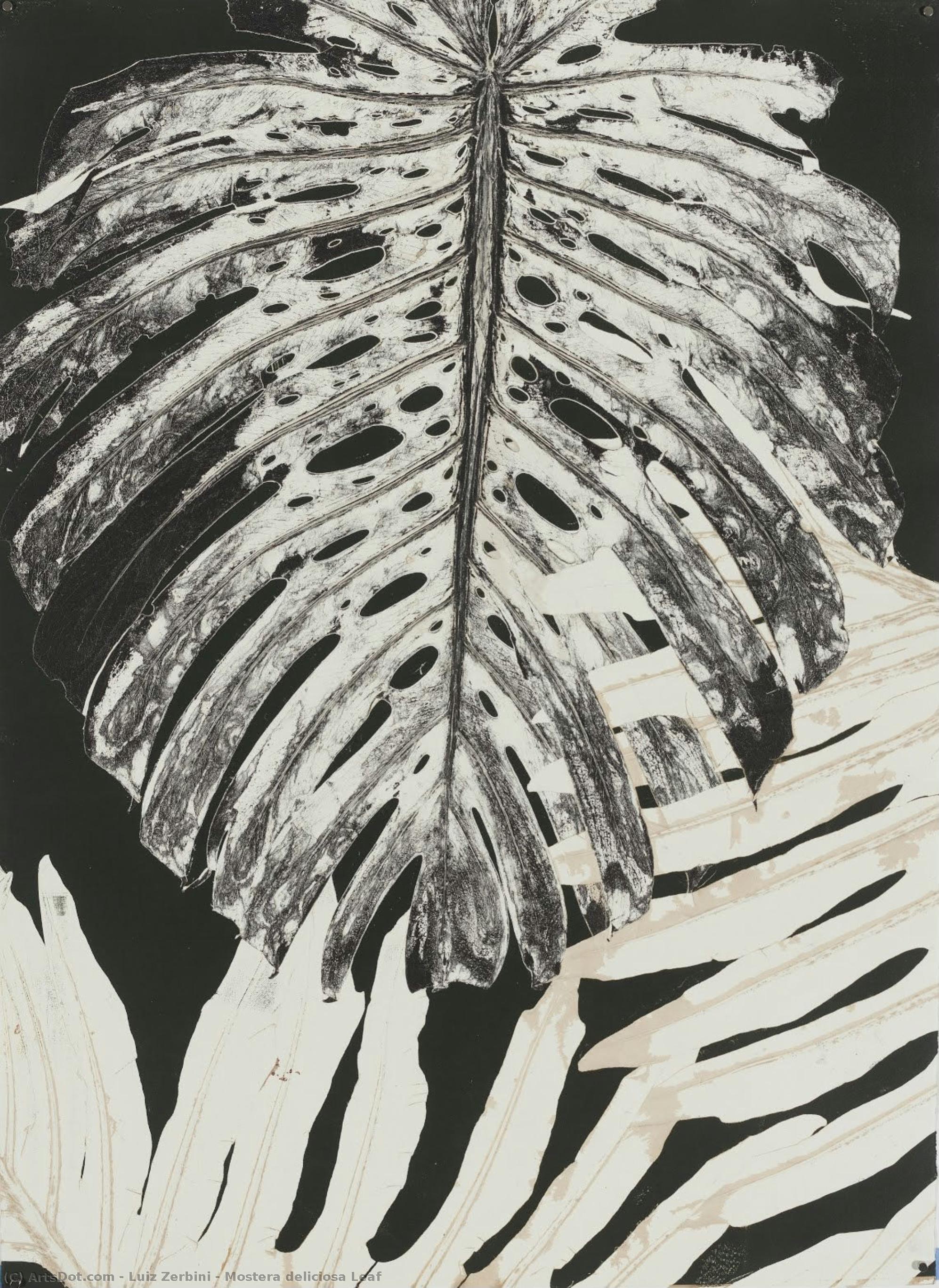 Mostera Deliciosa Leaf — Luiz Zerbini