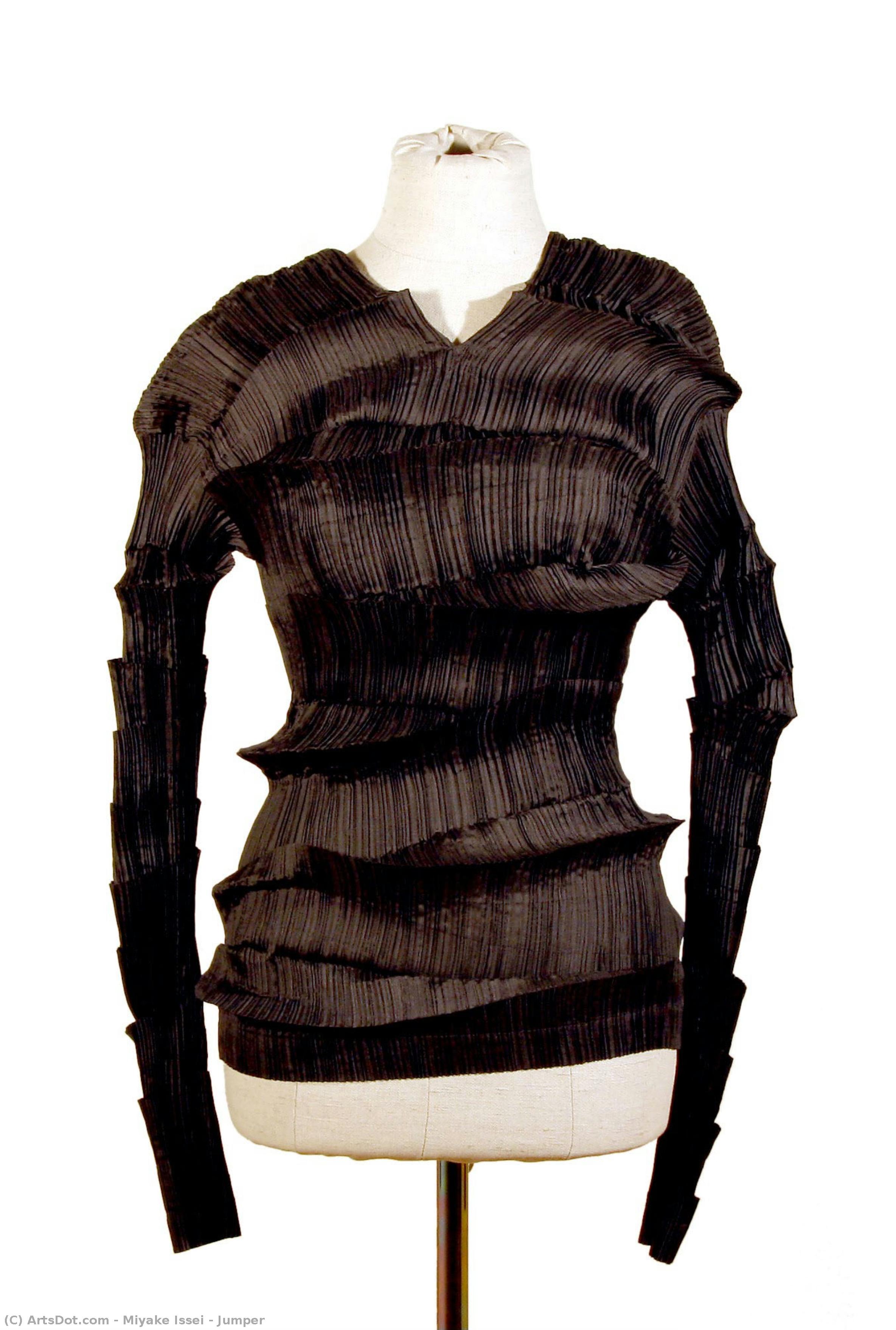 Jumper — Issey Miyake