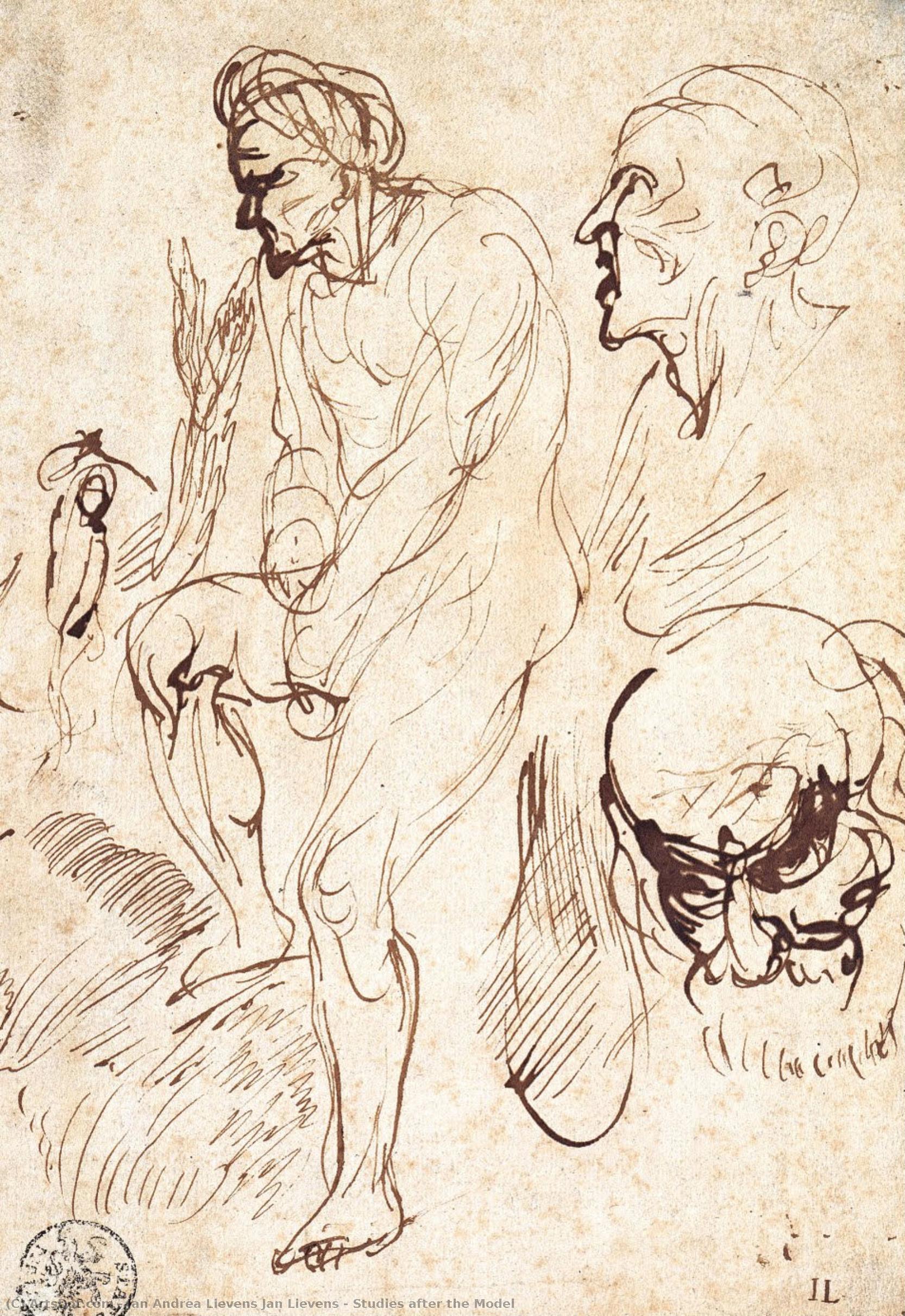 Studies After The Model — Jan Andrea Lievens