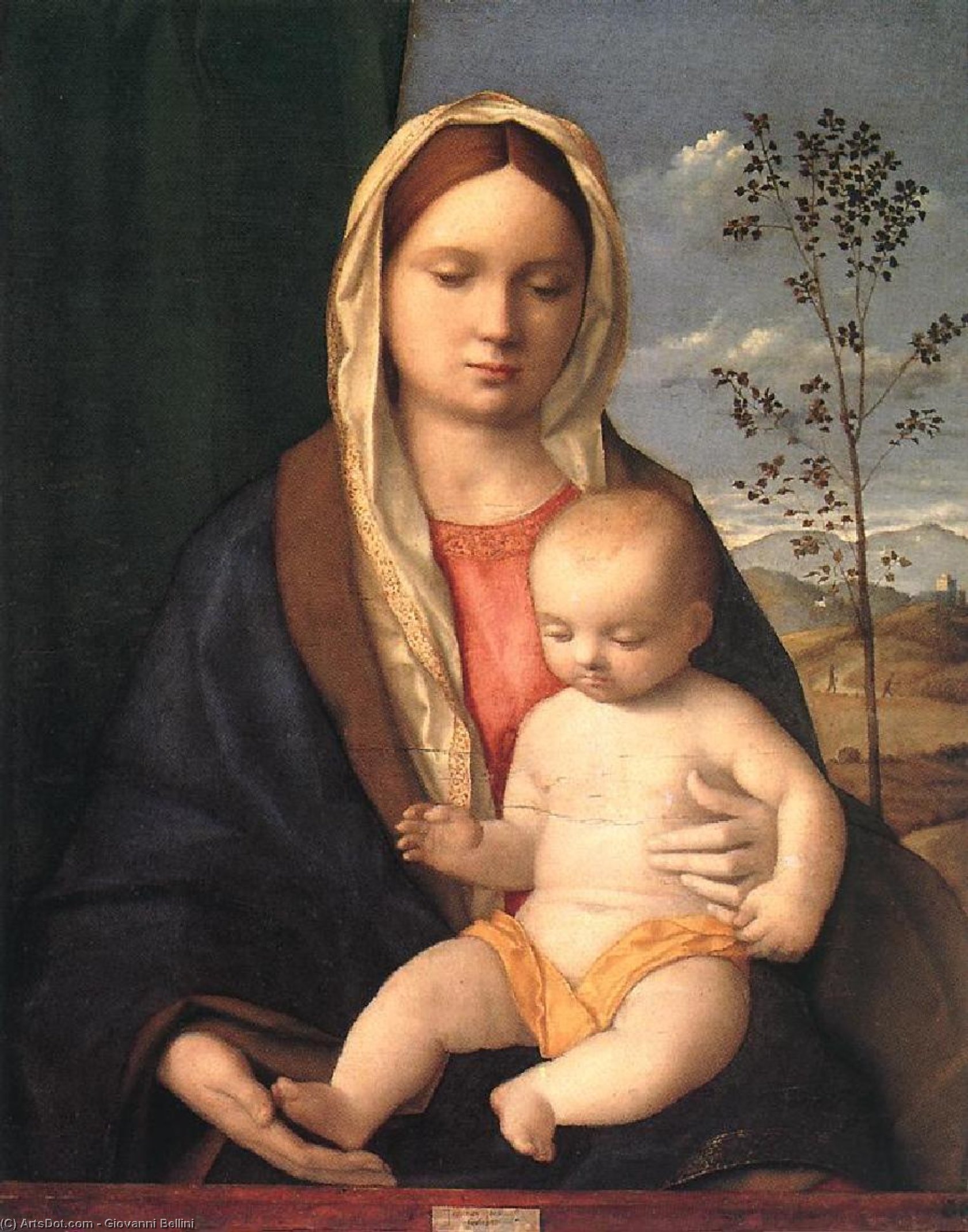 Madonna E Bambino — Giovanni Bellini