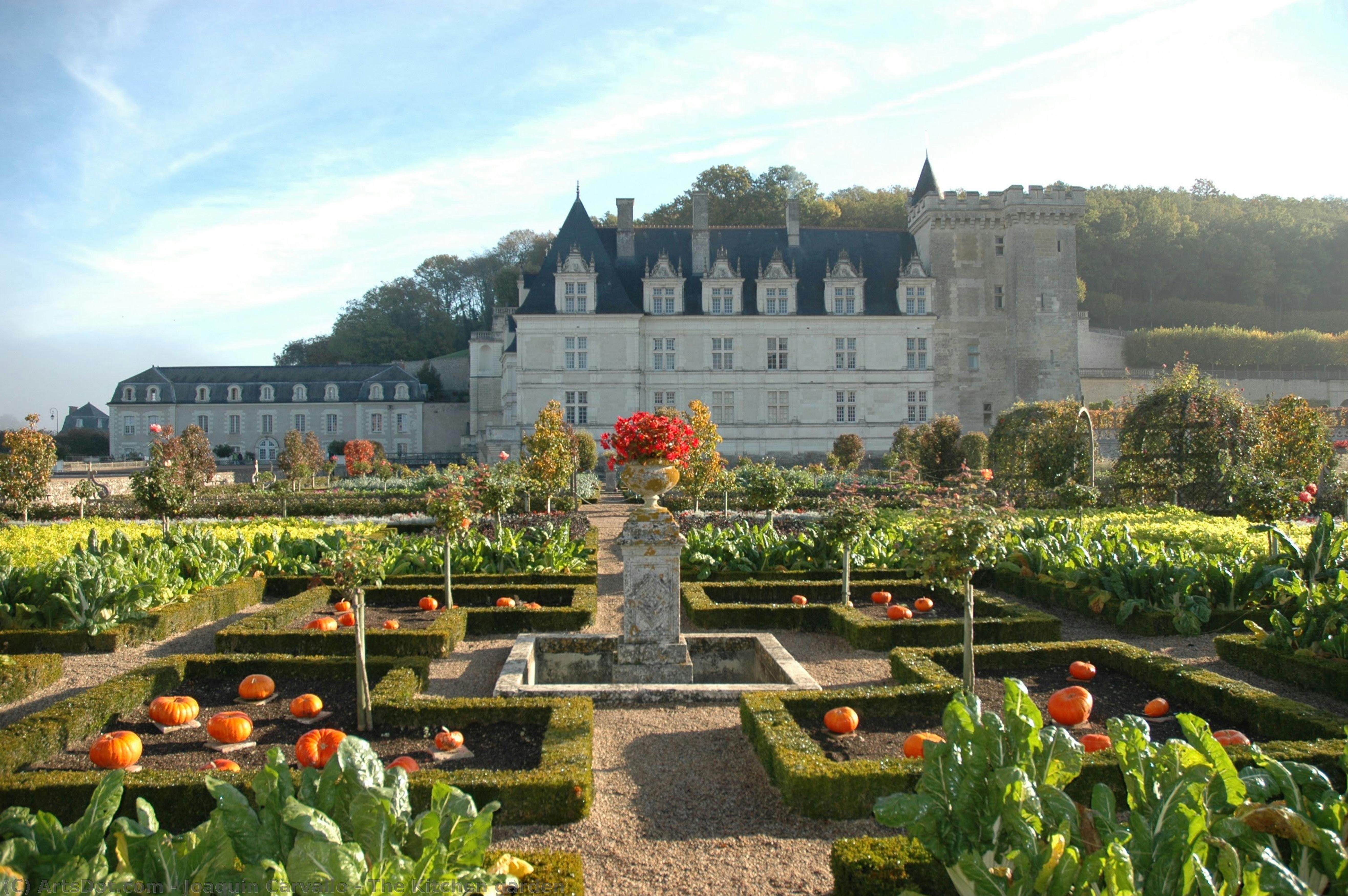 The Kitchen Garden — Joaquín Carvallo
