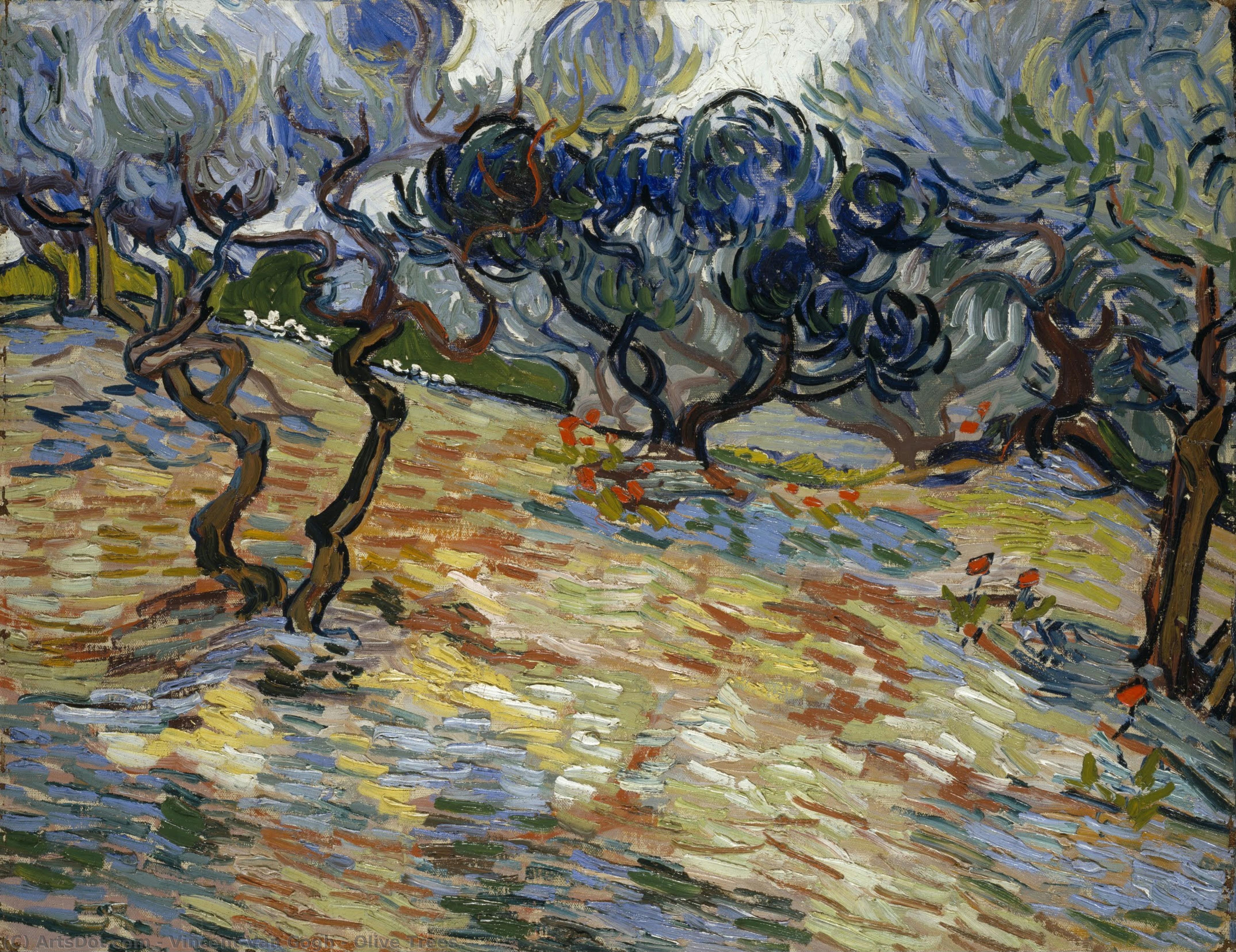 Olivovky — Vincent Willem Van Gogh