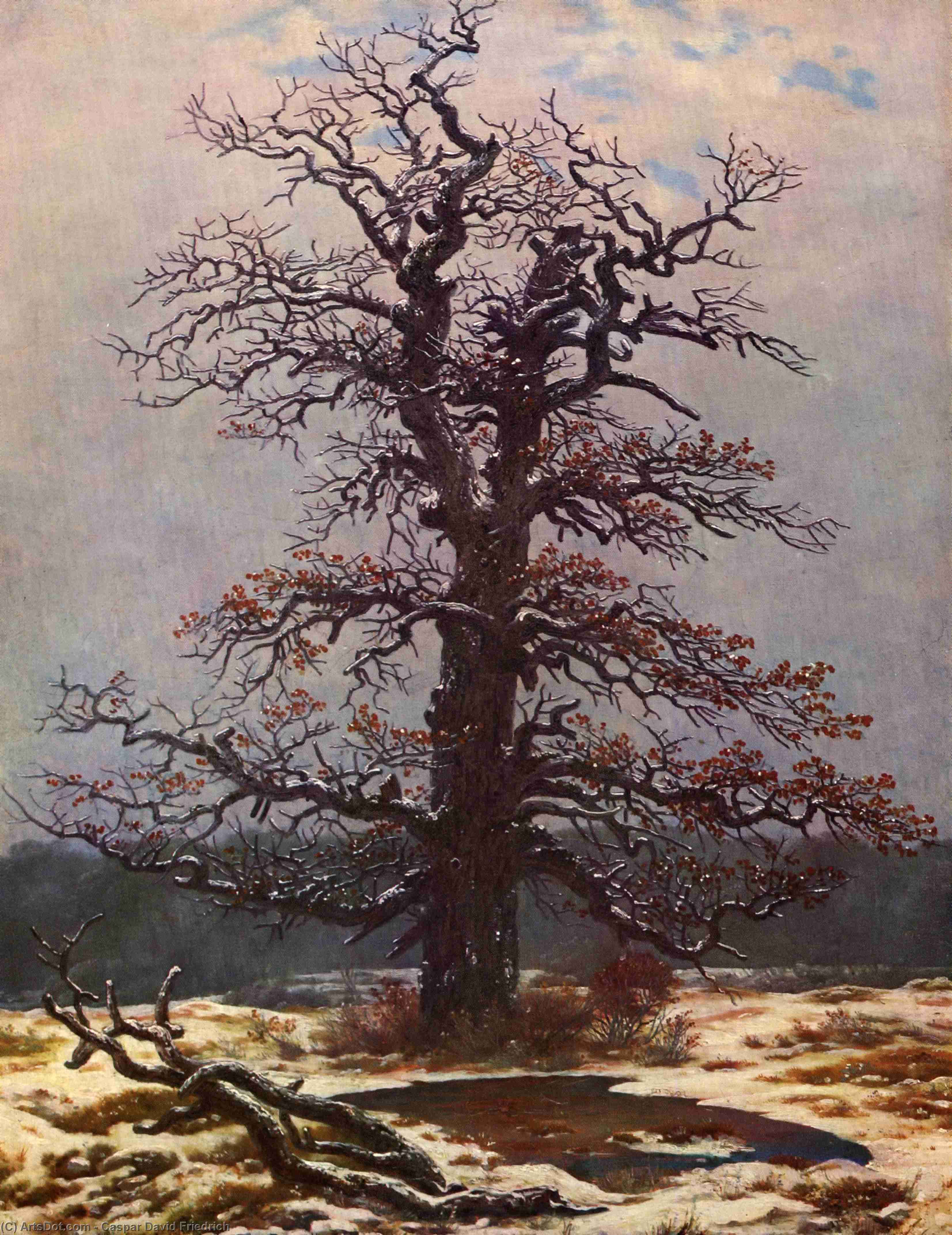 Ek Træ I Sne — Caspar David Friedrich