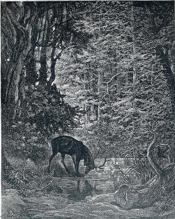 Untitled (8116) - Nevardyta (8116) — Gustavas Dorė