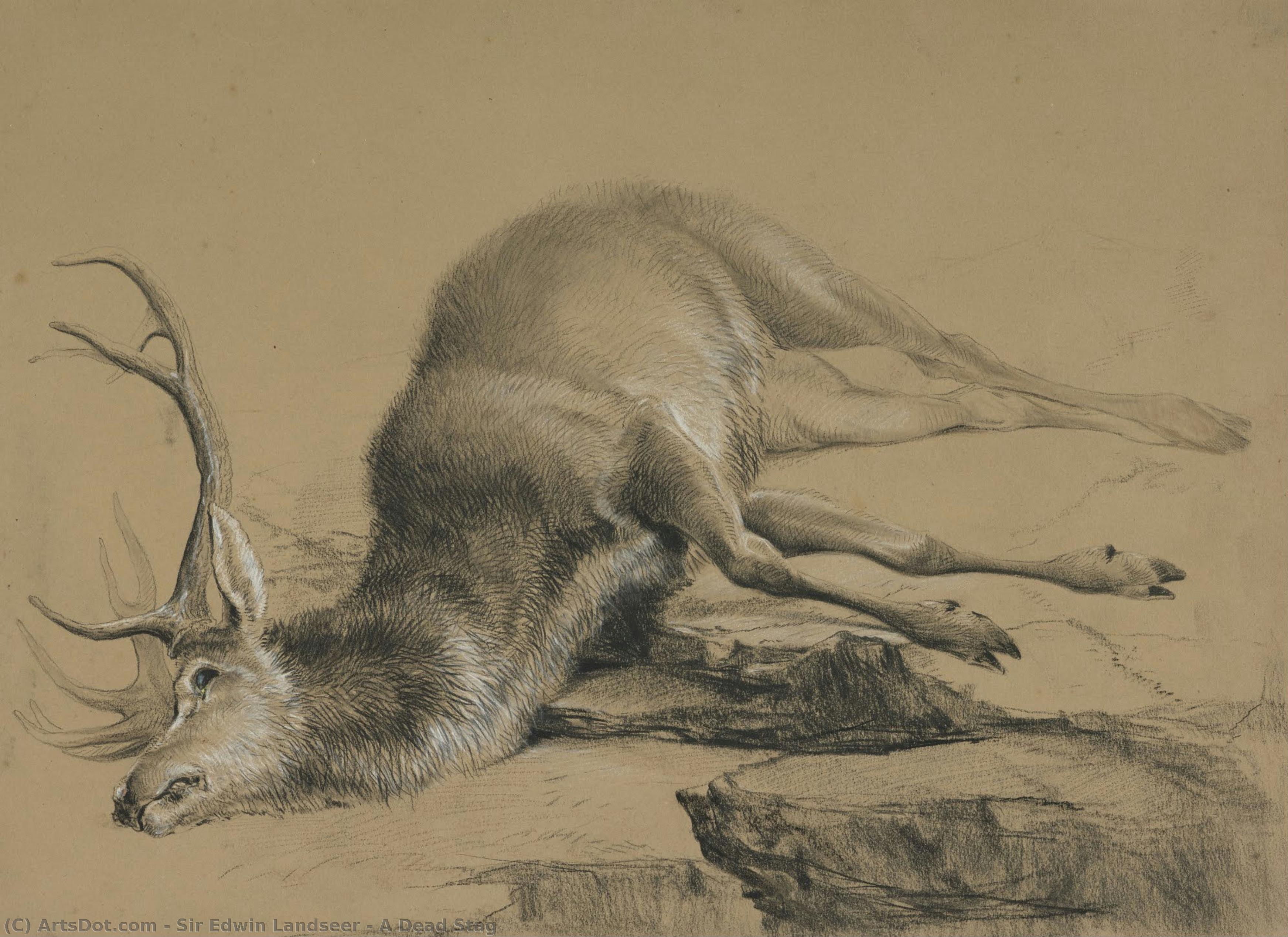 A Dead Stag — Sir Edwin Henry Landseer