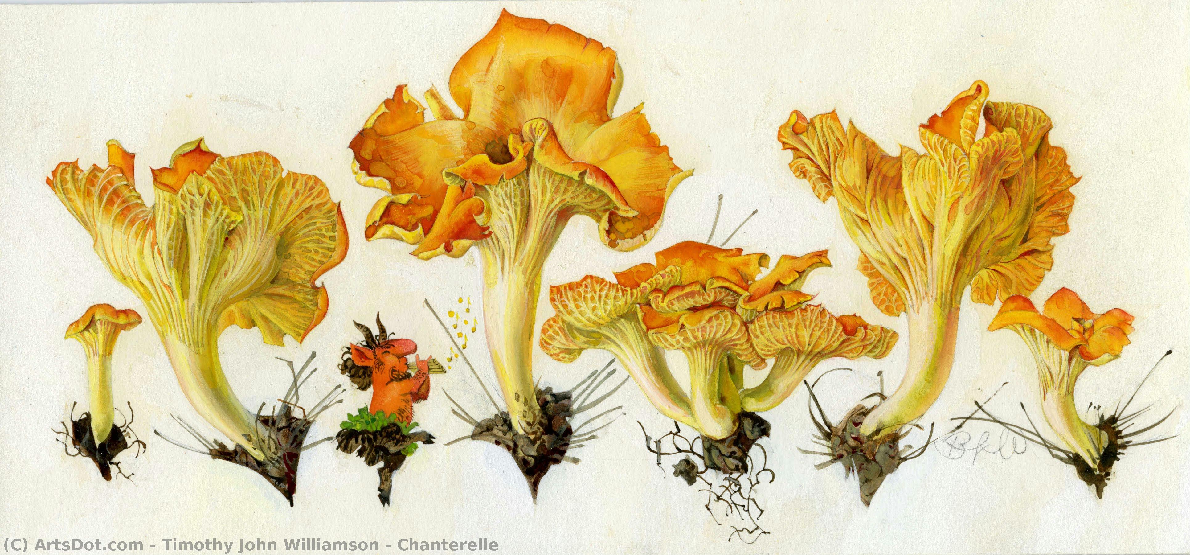 Chanterelle — Timothy John Williamson