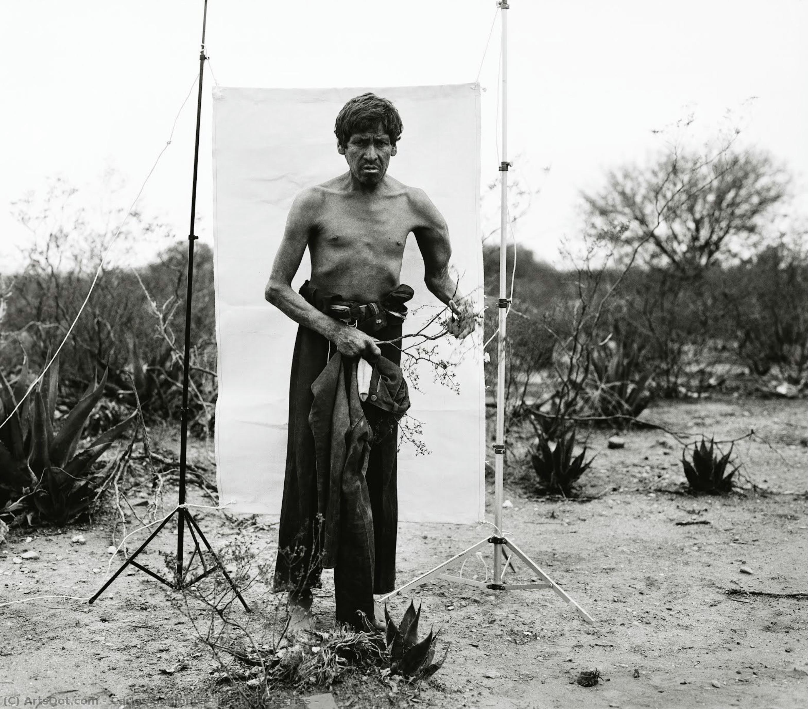 From The Series — Carlos Somonte