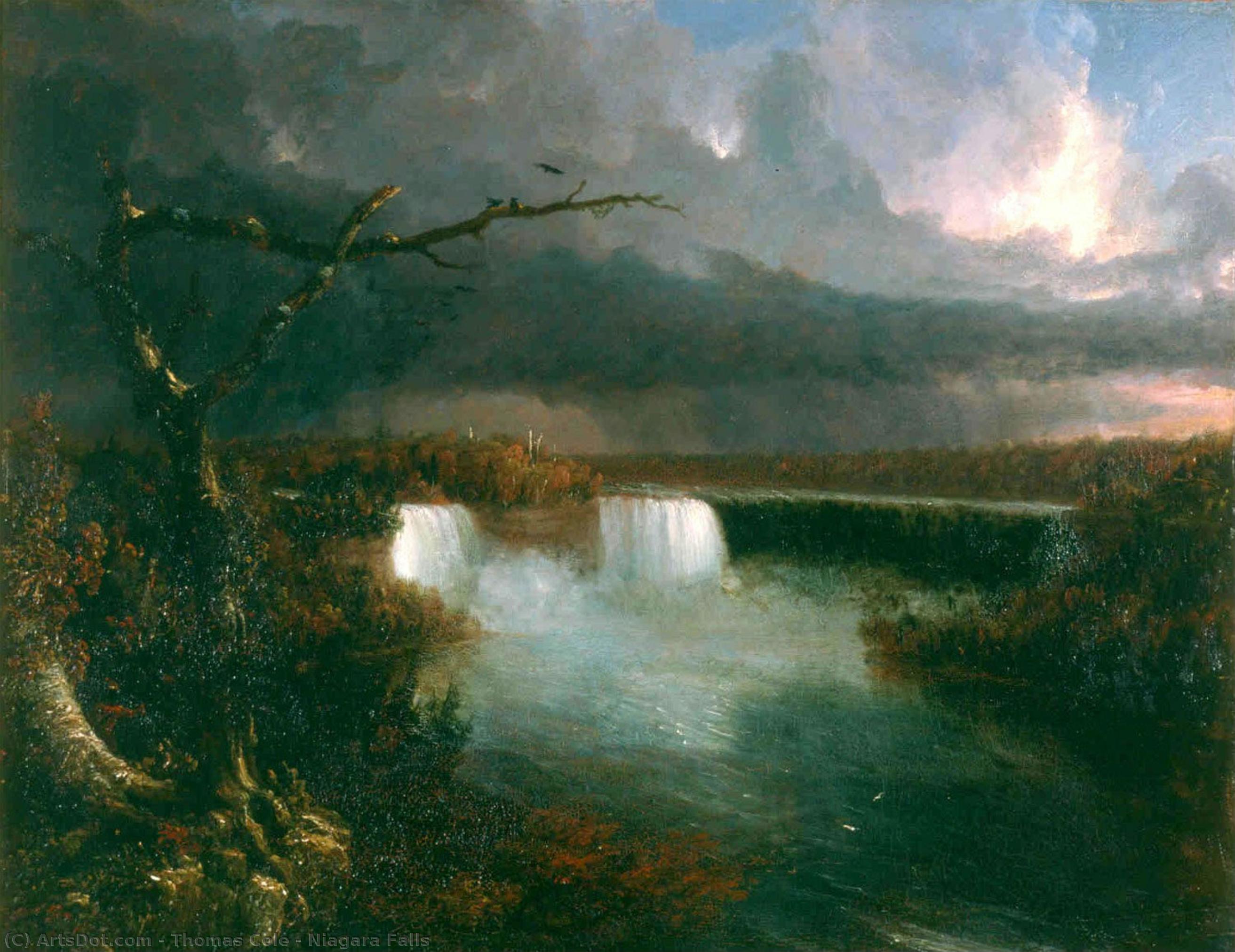 Cascate Del Niagara — Thomas Cole