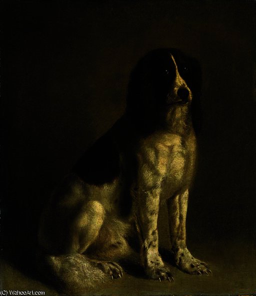 A Springer Spaniel — Ζακ Λωράν Αγκάσε