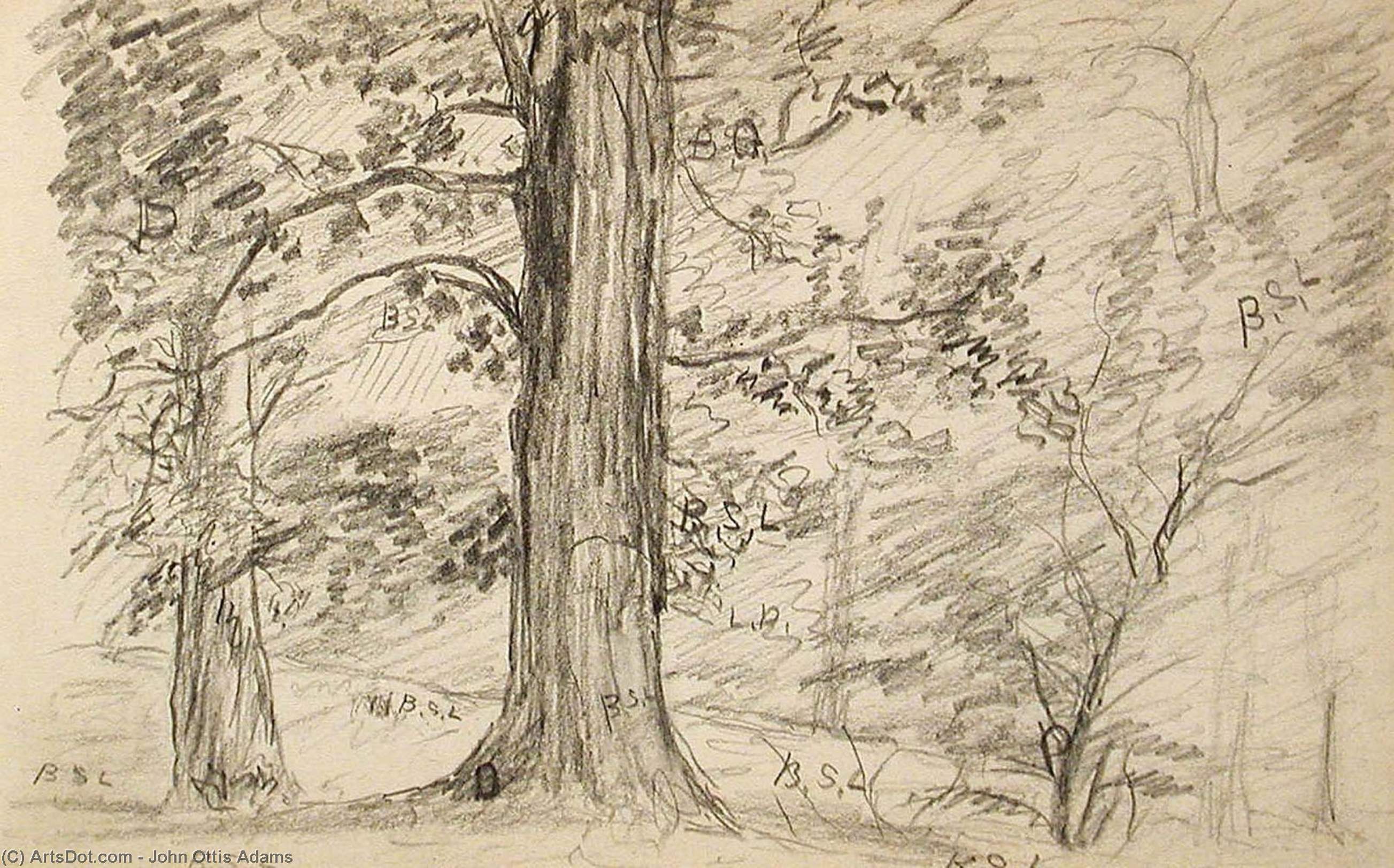 Trees 2 — John Ottis Adams