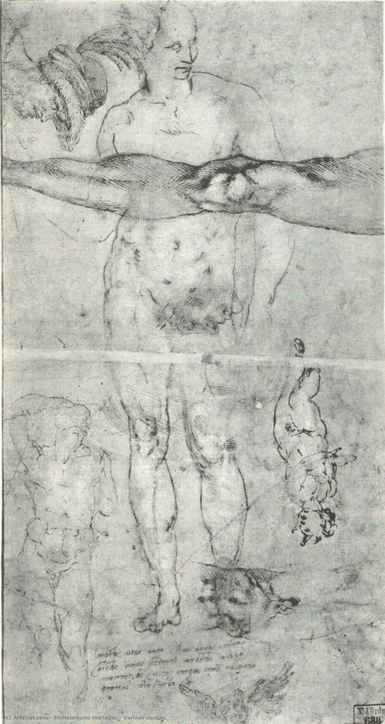 Studi Multipli — Michelangelo Morlaiter