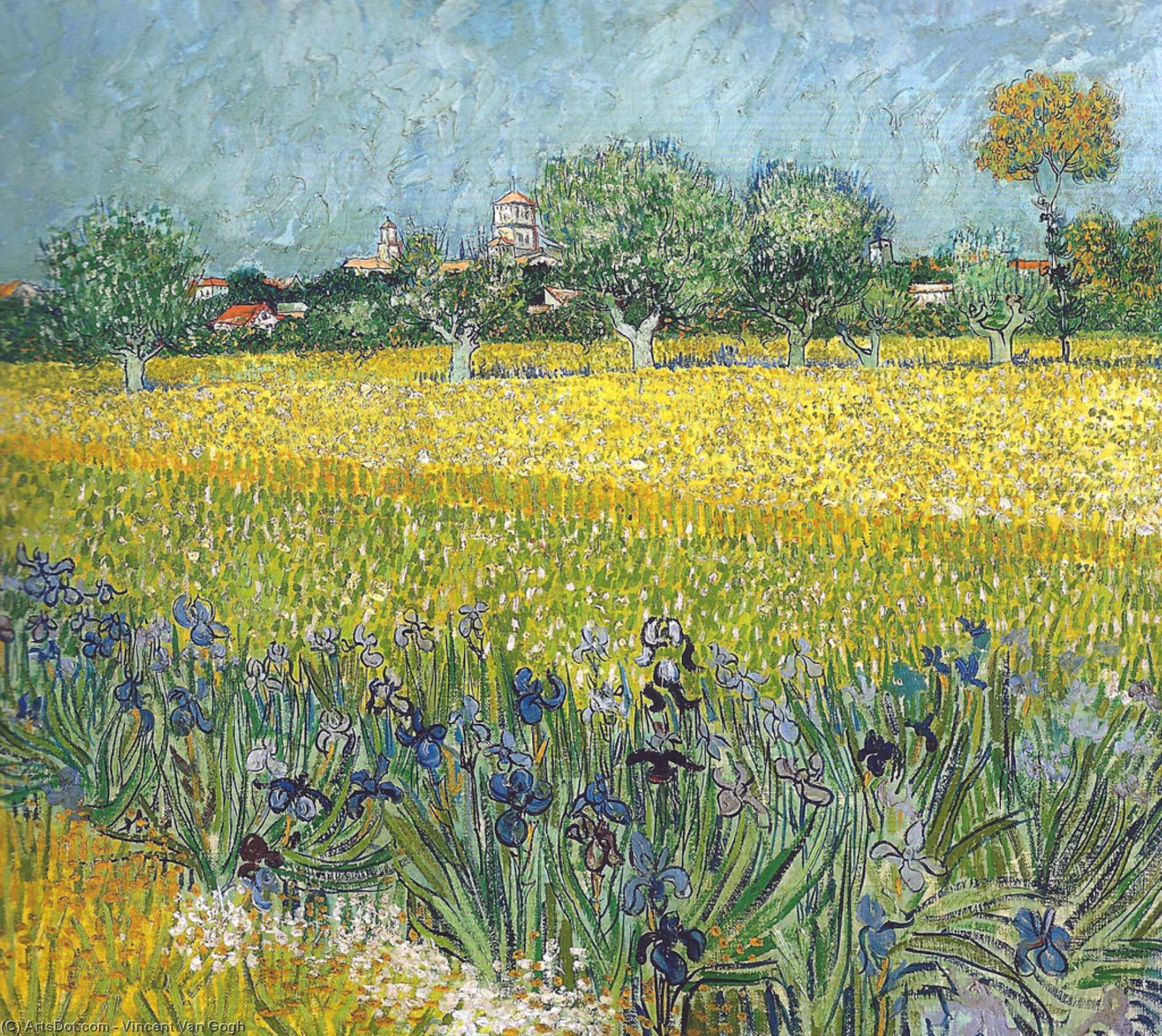 Utsikt Over Arles Med Iris I Forgrunnen — Vincent Willem Van Gogh