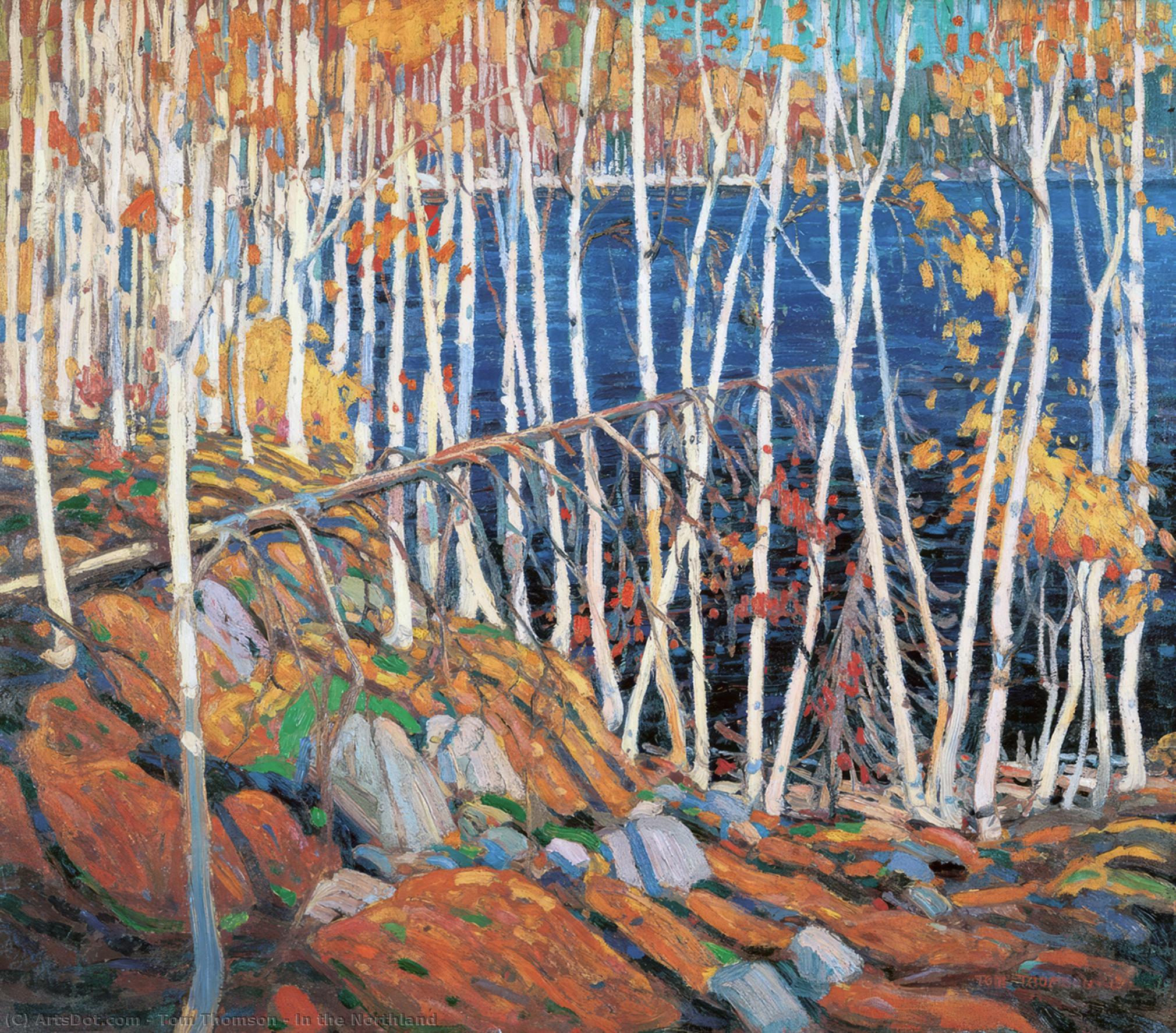 Dans Le Nord — Tom Thomson