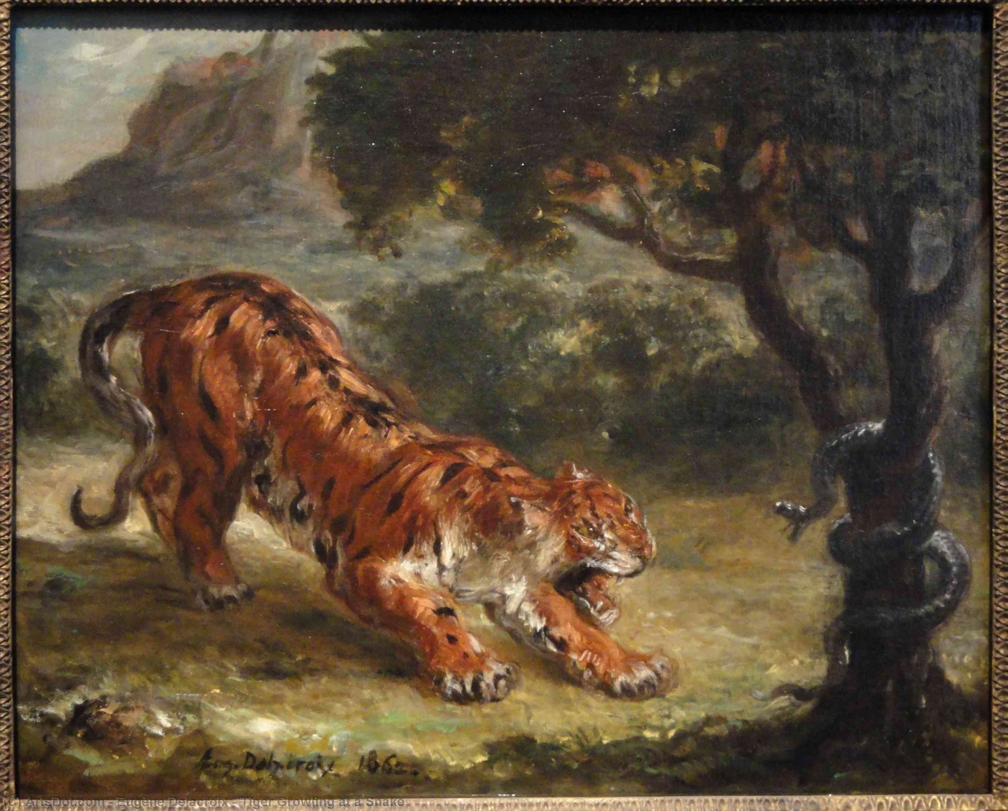 Tigre Che Ringhia A Un Serpente — Eugène Delacroix