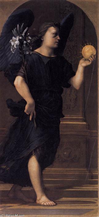 Angel — Franciabigio