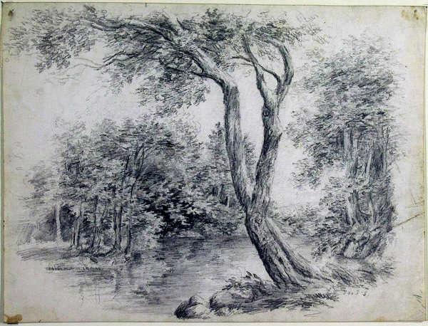 Trees And Pool — Homer Dodge Martin