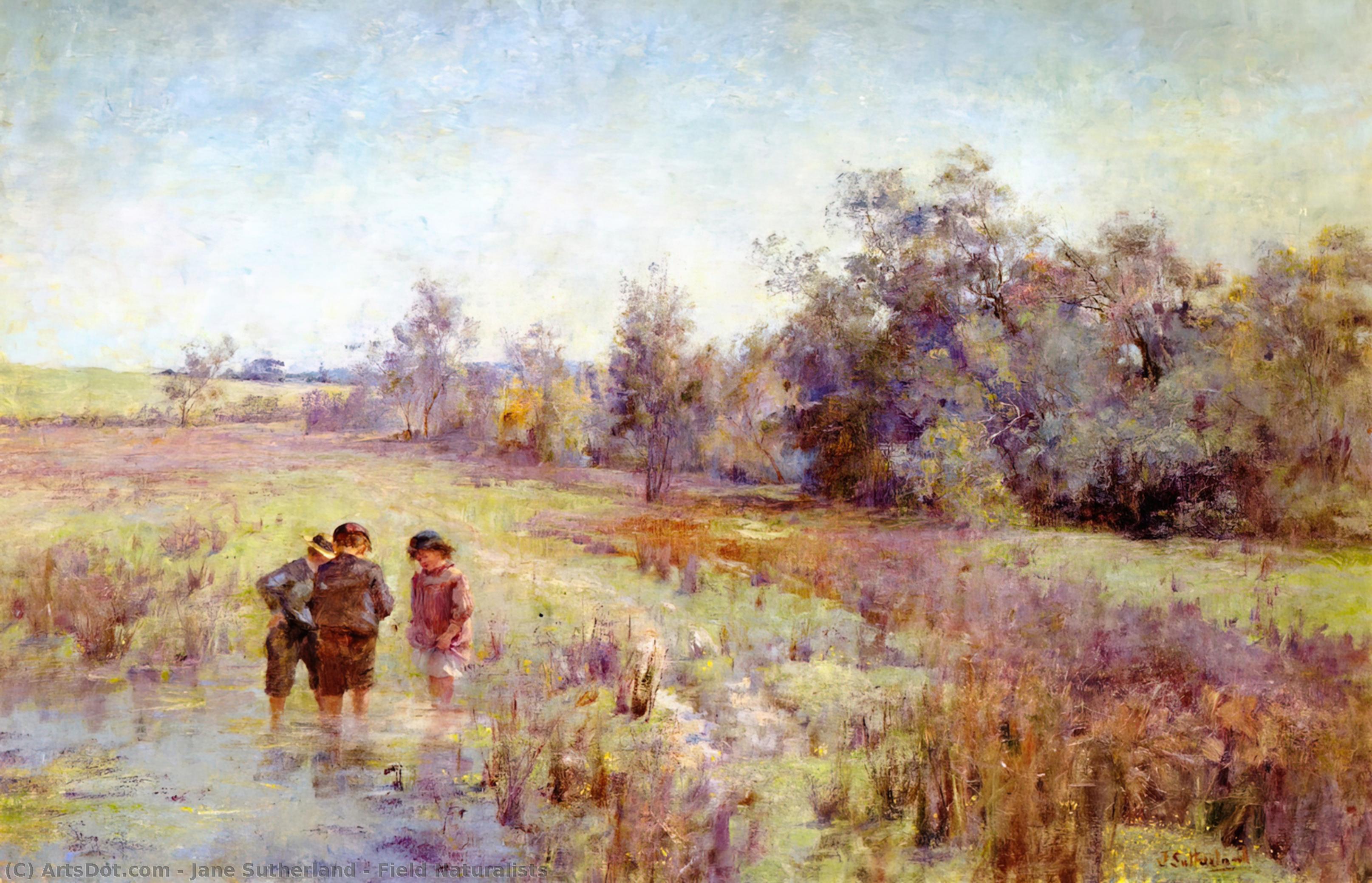 Field Naturalists — Džejn Satler