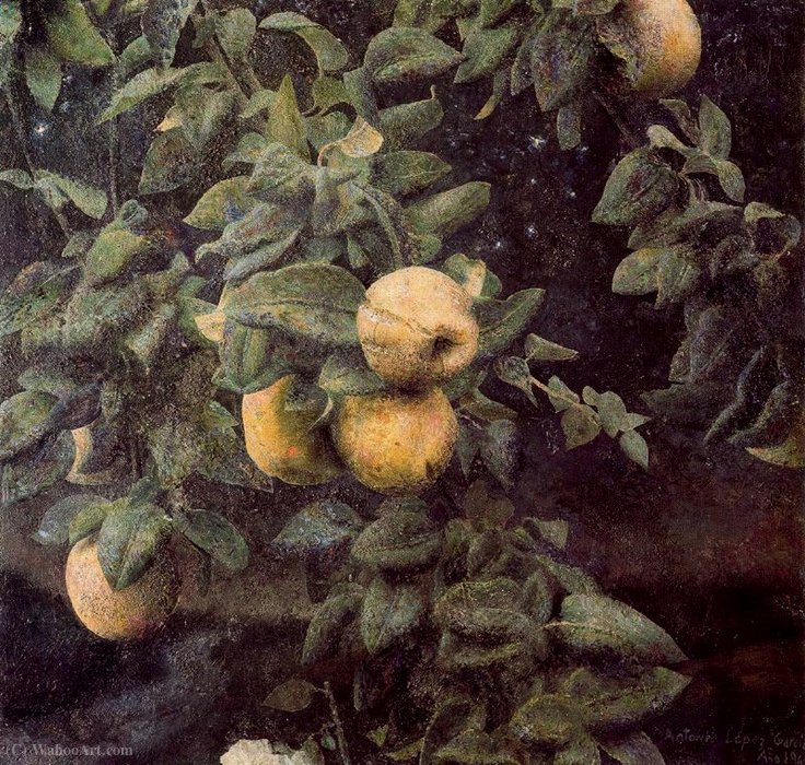 Untitled (673) — António López García