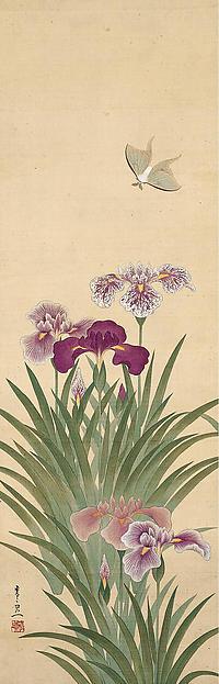 Irises And Moth — Suzuki Kiitsu