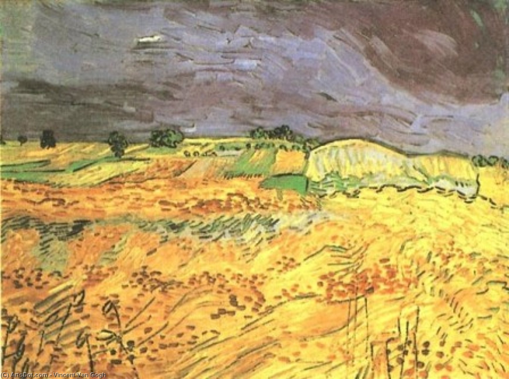 Felder — Vincent Willem Van Gogh