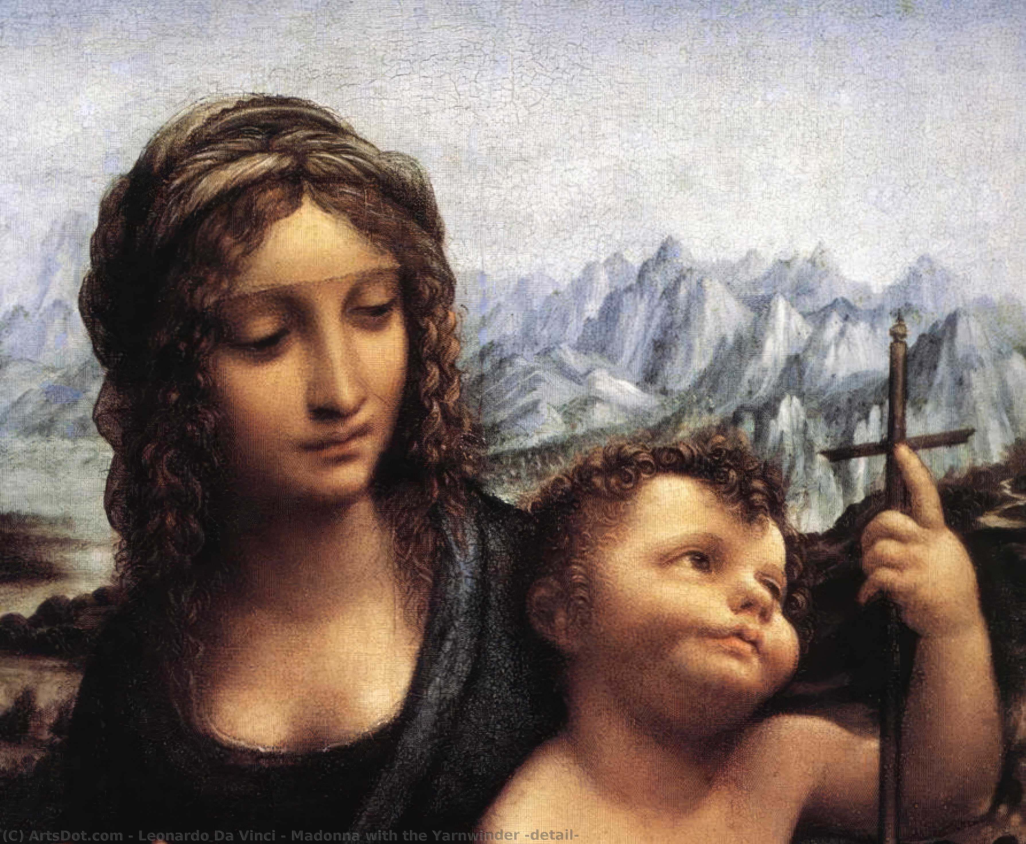 Madona S Navlňovačkou — Leonardo Da Vinci