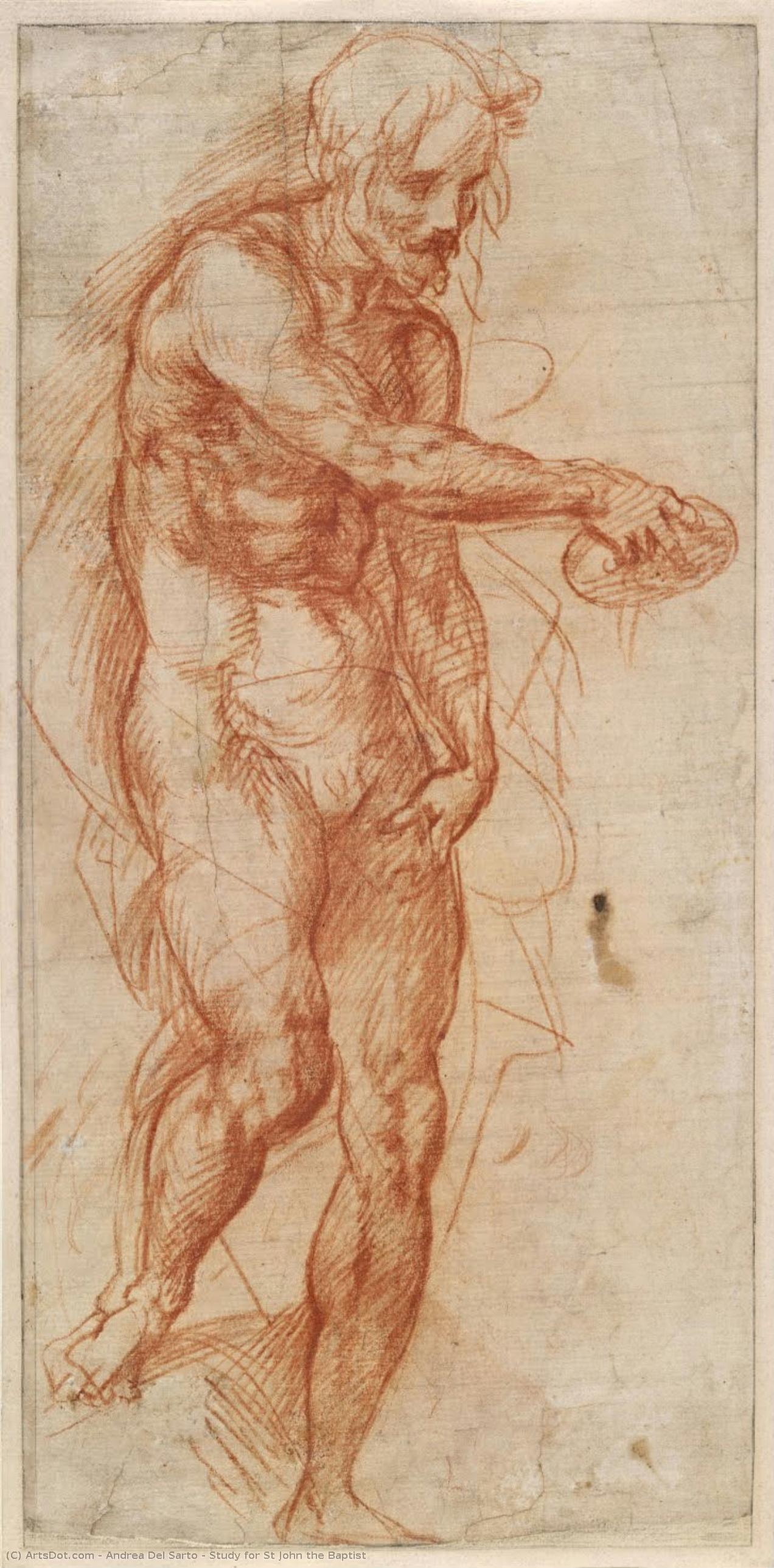 Studie Für Den Heiligen Johannes Den Täufer — Andrea Del Sarto