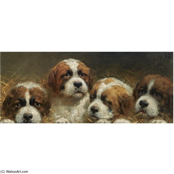 Four Curious Saint Bernards Puppies — Otto Eerelman