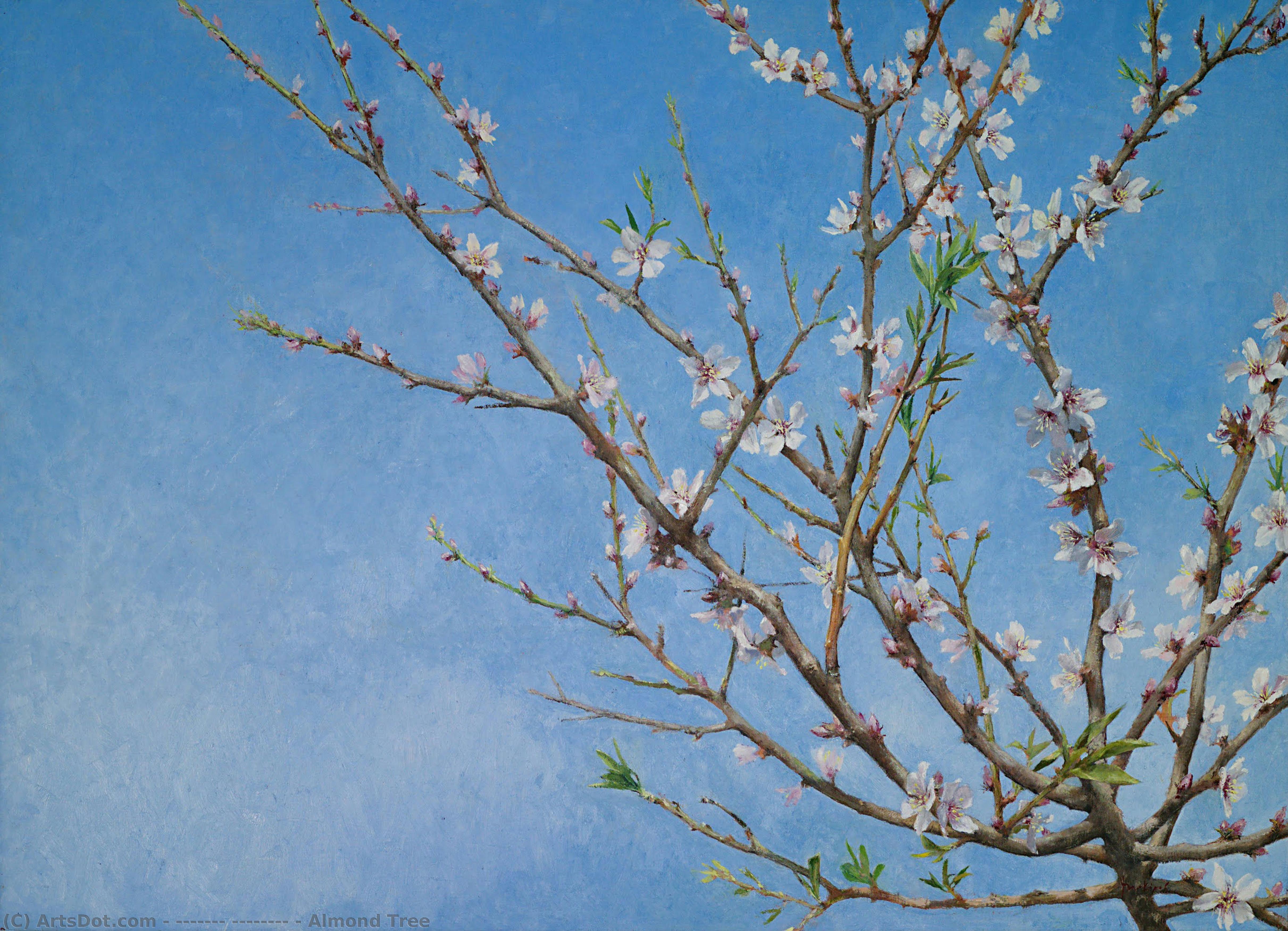 Almond Tree — Maxim Vorobiev