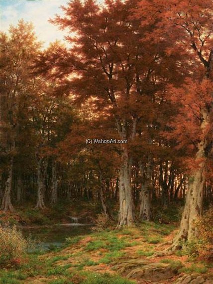 Waldlichtung — Robert Zund