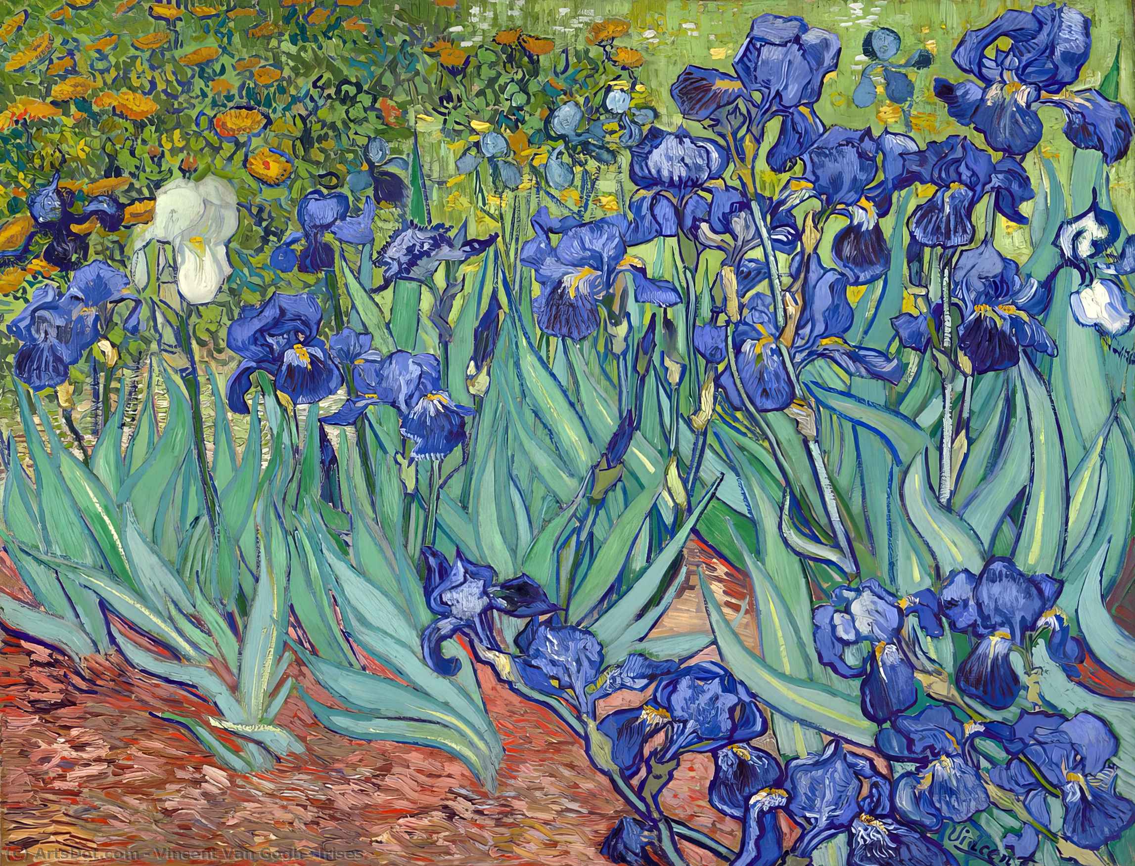 Irises — Vincent Willem Van Gogh
