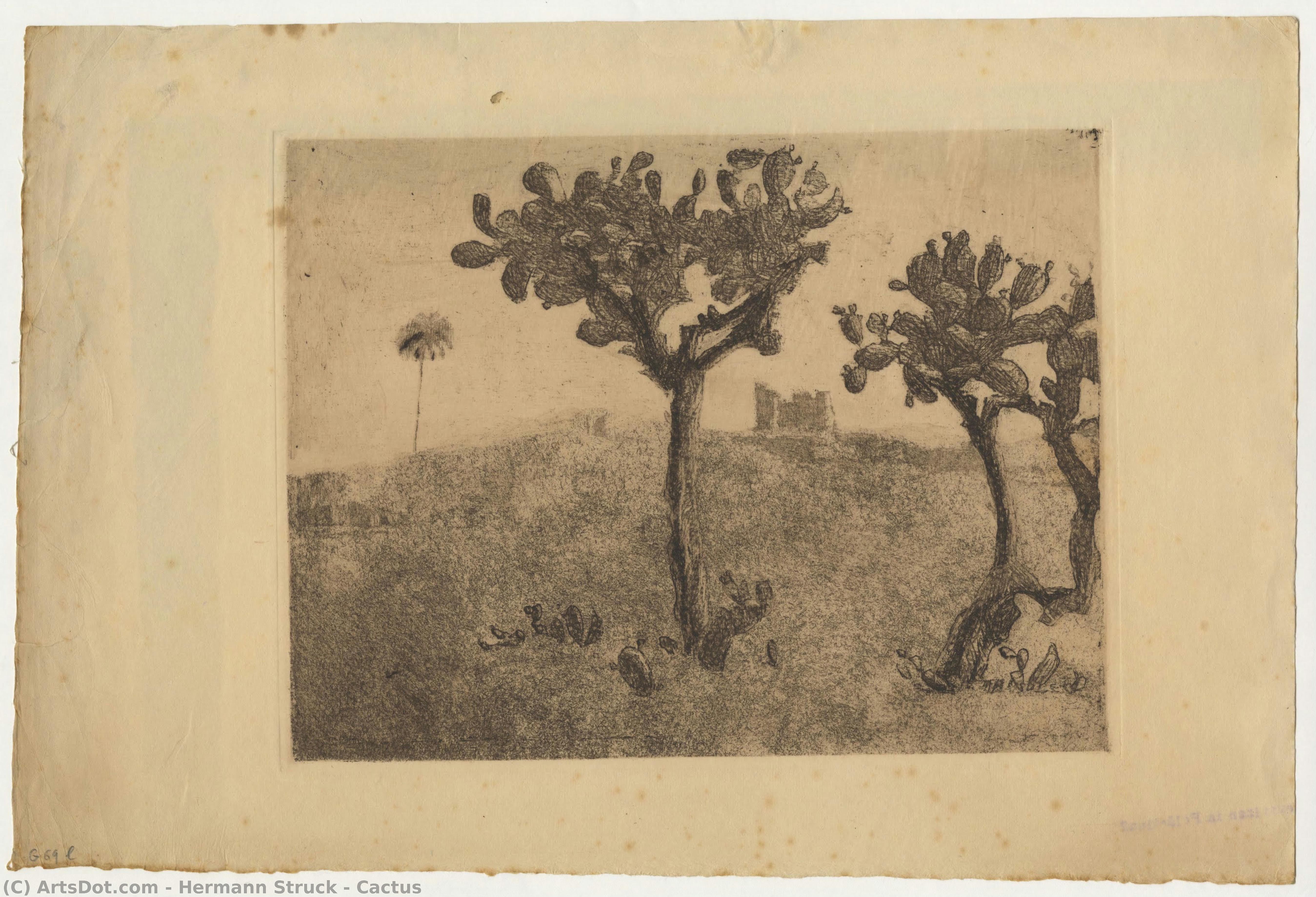 Cactus — Hermann Struck