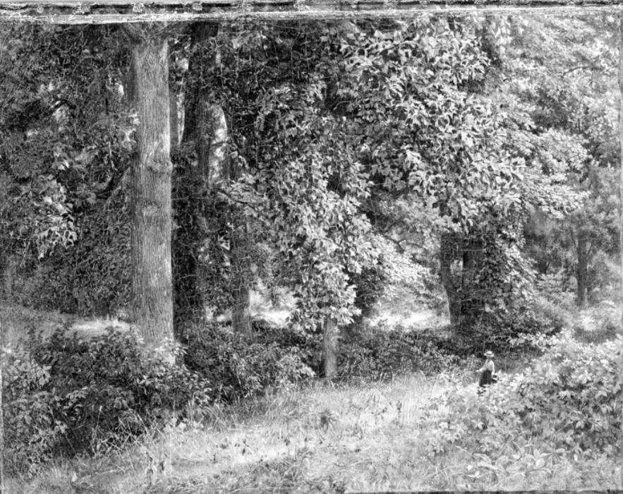 Tulip Trees — William Trost Richards