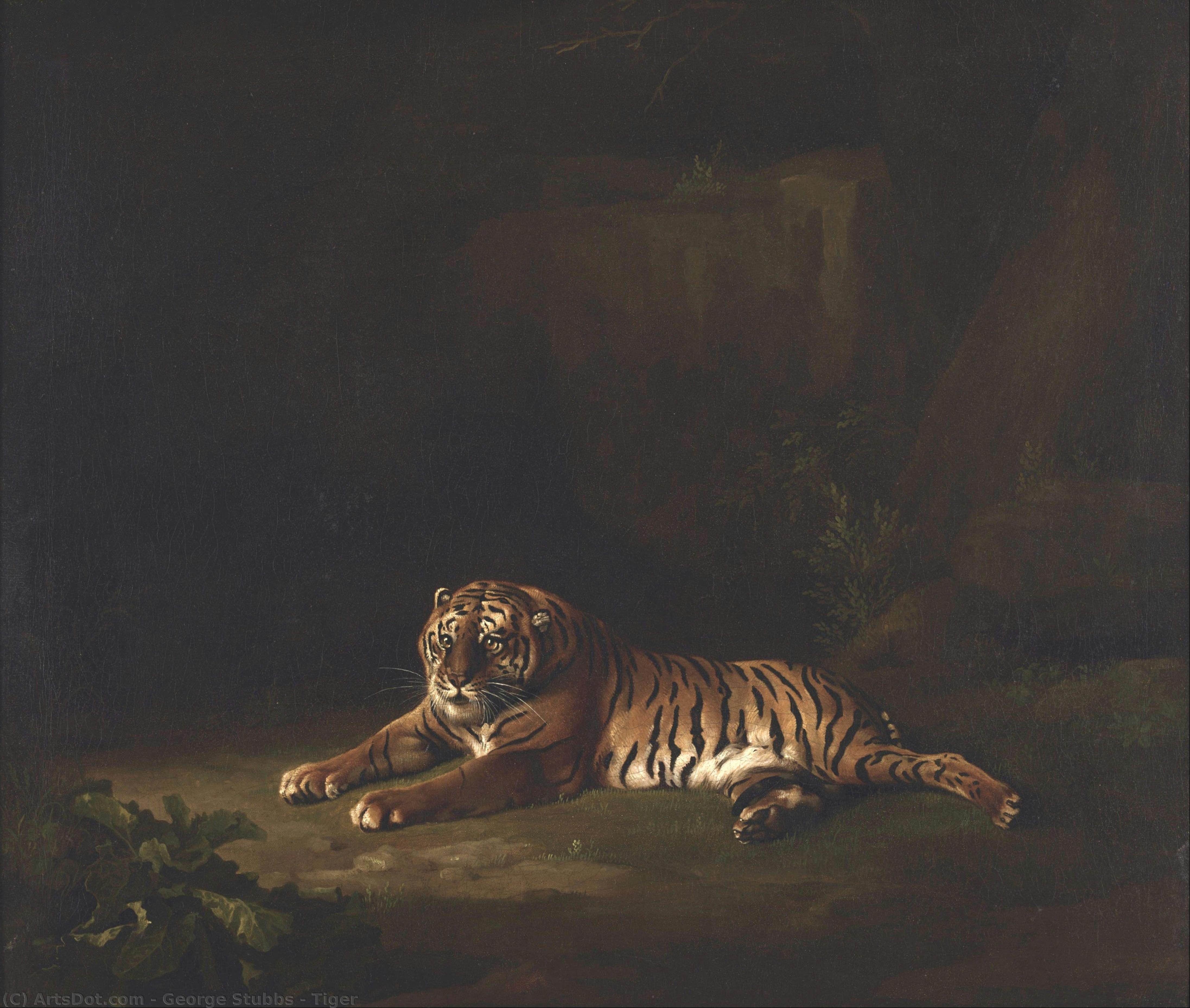 Tigre — George Stubbs