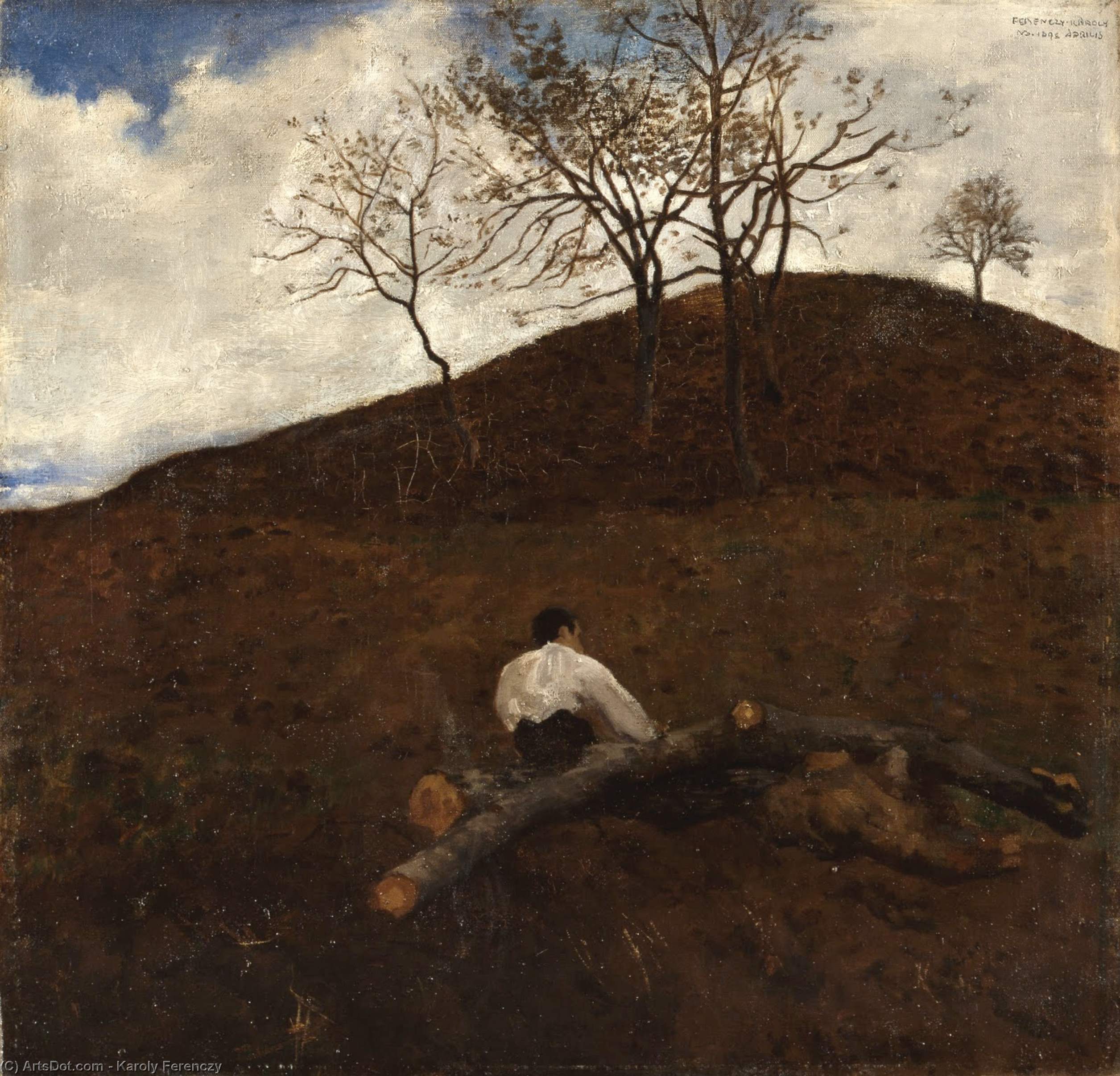 Landscape In Springtime With The Flower Hill — Karolis Ferencis