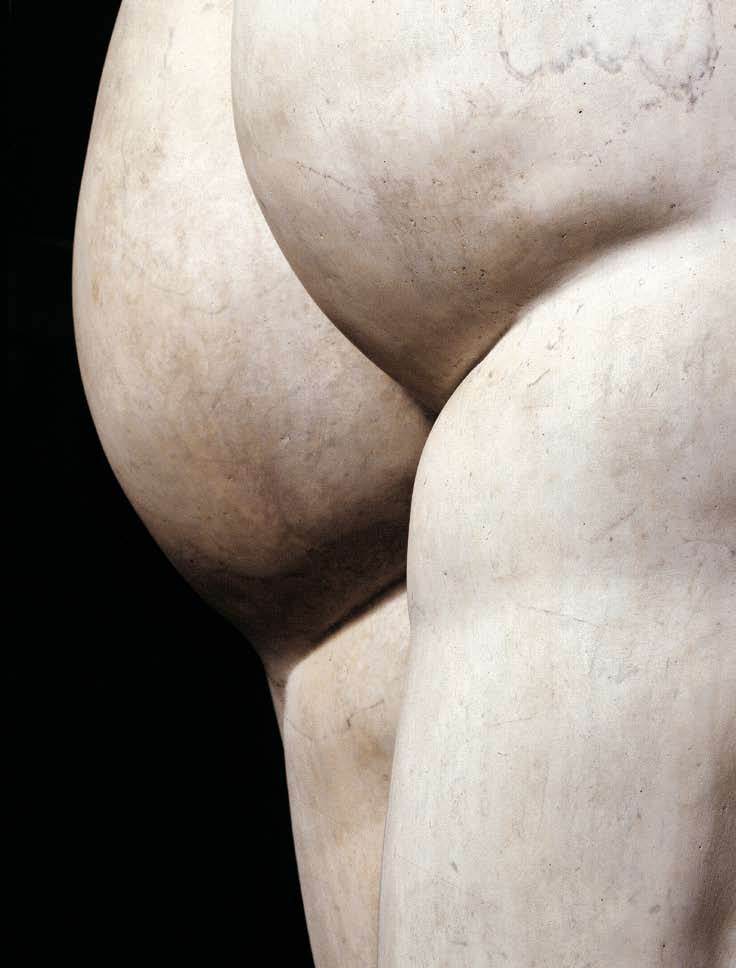 David (detalj) — Michelangelo Buonarroti