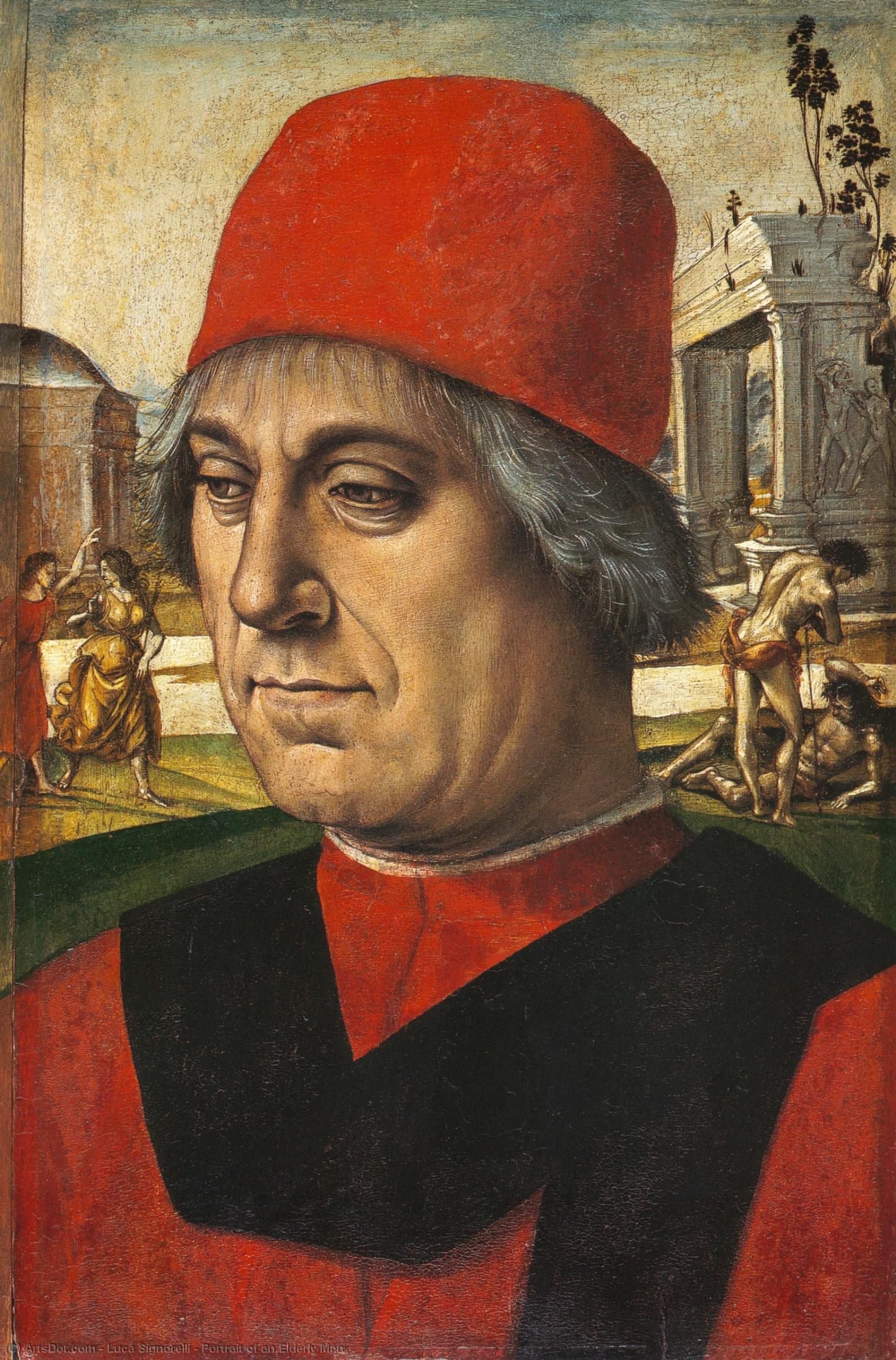 Portrait Of An Elderly Man — Luca Signorelli